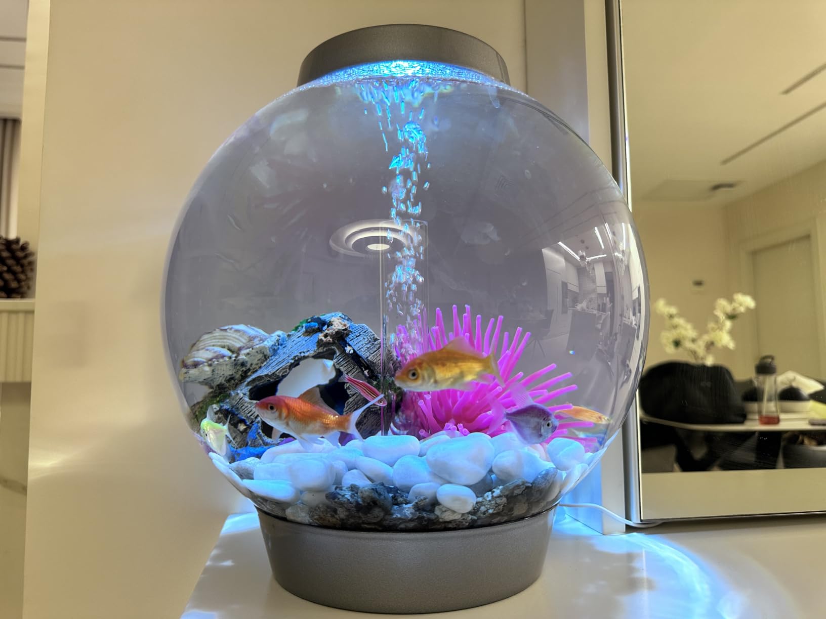 biOrb Classic 15 Acrylic 4-Gallon Aquarium with White LED Lights Modern Compact Tank for Tabletop or Desktop Display, Silver-Trimmed Tank customer photo 2