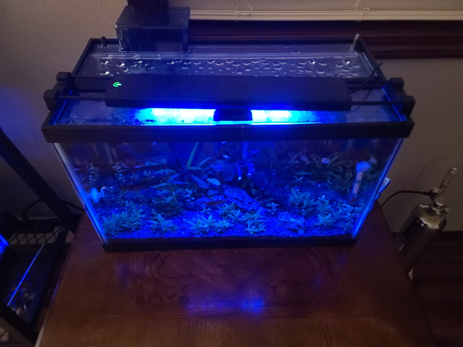 Fluval Plant 3.0 LED Planted Aquarium Lighting, 22 Watts, 15-24 Inches customer photo 2