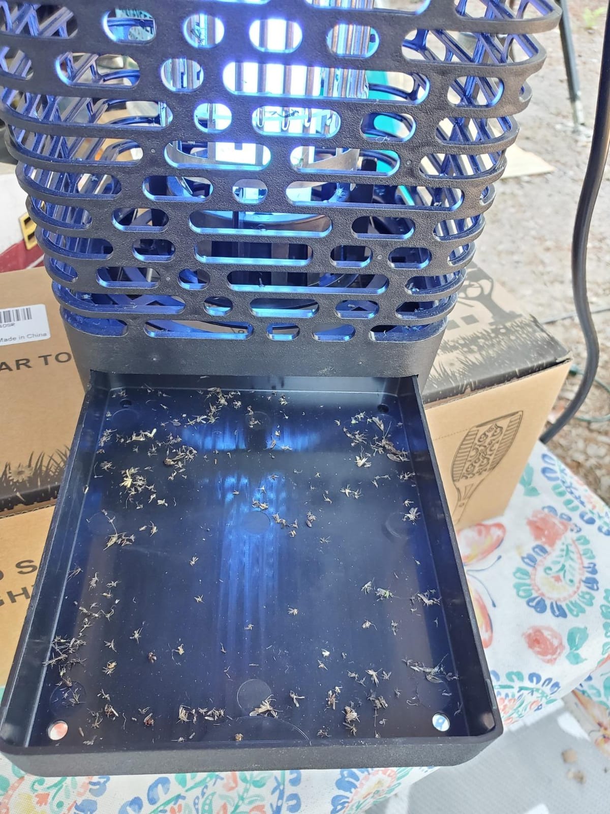 BLACK+DECKER Bug Zapper, Electric UV Insect Catcher & Killer for Flies, Mosquitoes, Gnats & Other Small to Large Flying Pests, 1 Acre Outdoor Coverage for Home, Deck, Garden, Patio, Camping & More customer photo 1