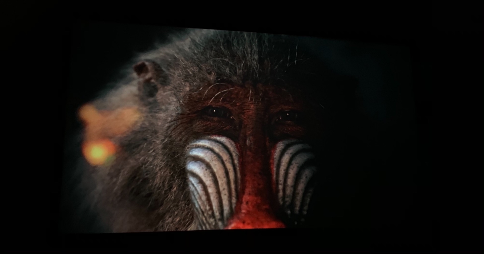 Optoma UHD50X True 4K UHD Projector for Movies & Gaming | 240Hz Refresh Rate | Lowest Input Lag on 4K Projector | Enhanced Gaming Mode 16ms Response Time | HDR10 & HLG Compatibility | 3400 lumens customer photo 2