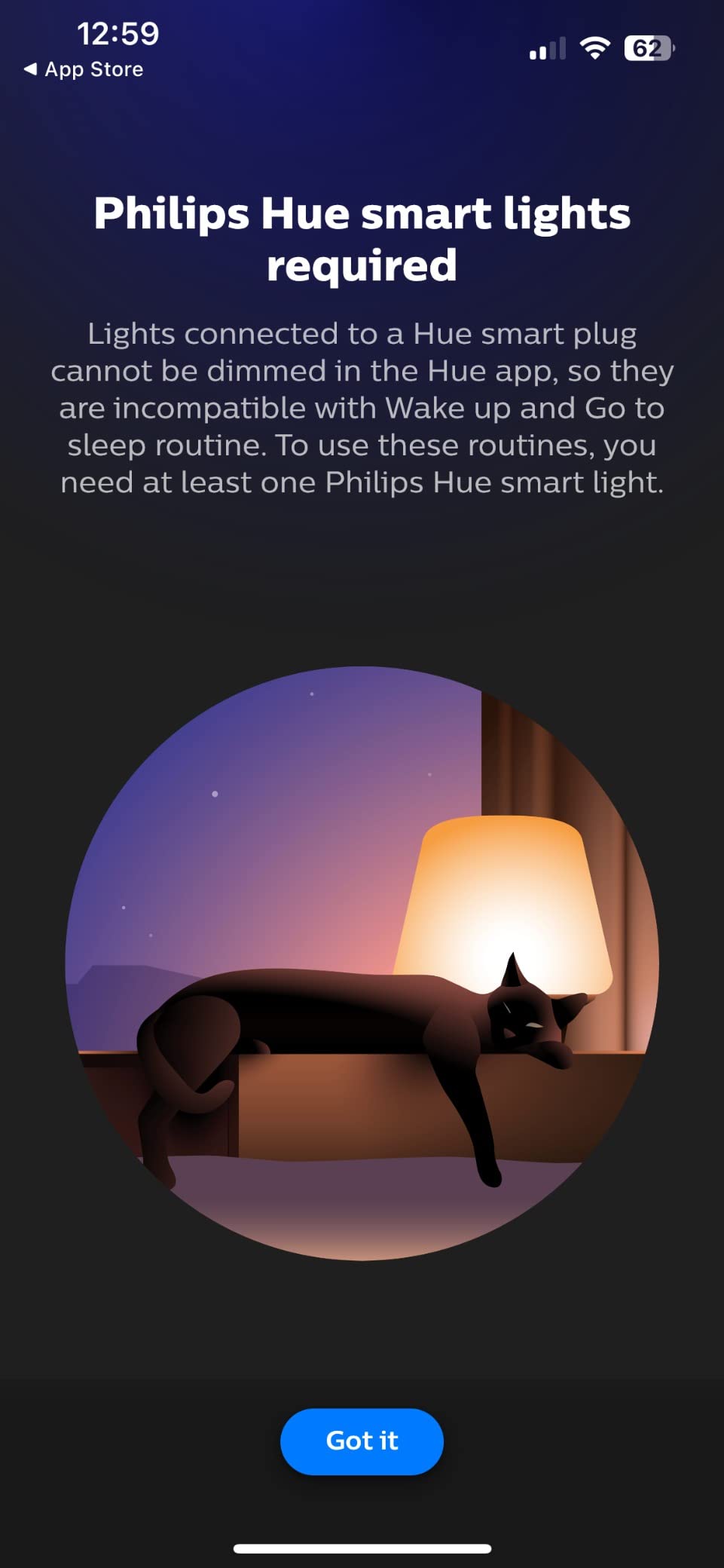 Hue Smart Plug 2-Pack customer photo 1