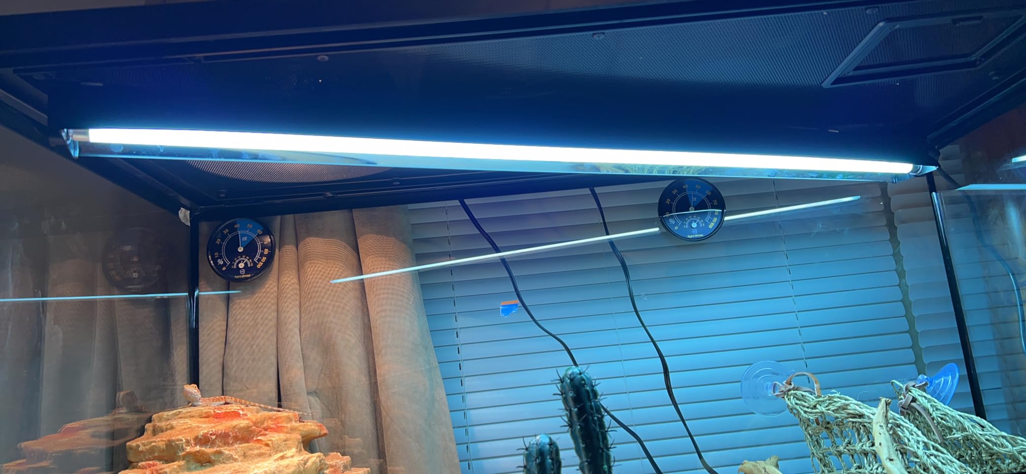 REPTI ZOO T5 HO UVB Lighting Combo Kit, Terrarium Hood Comes with Desert 10.0 UVB T5 Lamp (39W) customer photo 1