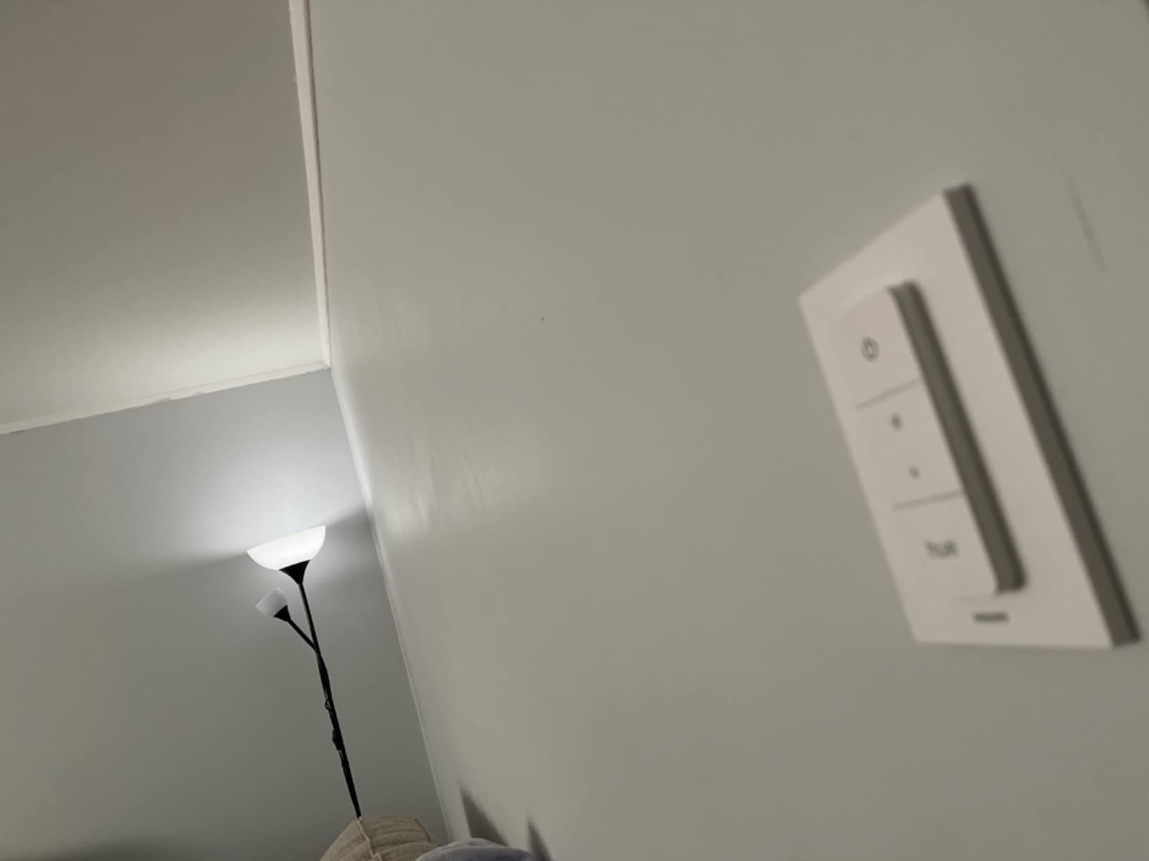 Hue Dimmer Switch customer photo 2
