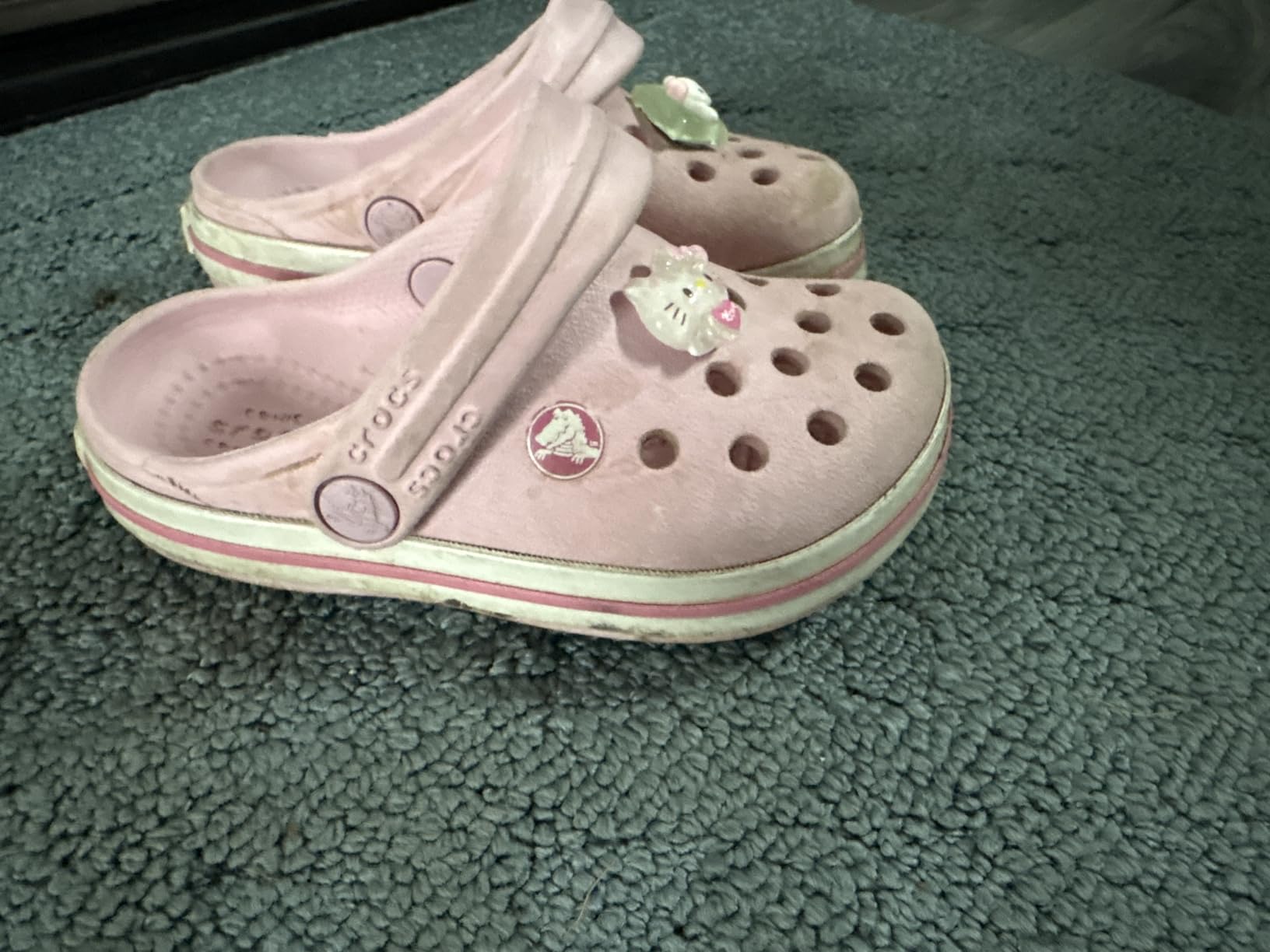 Crocs Kids Crocband Clogs customer photo 1