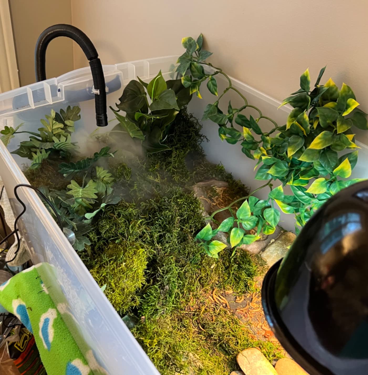 REPTI ZOO Reptile Automatic Fogger 2 IN 1 Digital Timing & Hygrostat Humidifier Remote Control 4L Large Tank Reptile Terrarium Fogger with Extended Hose for Bearded Dragon/Lizard/Gecko/Snake/Tortoise customer photo 1