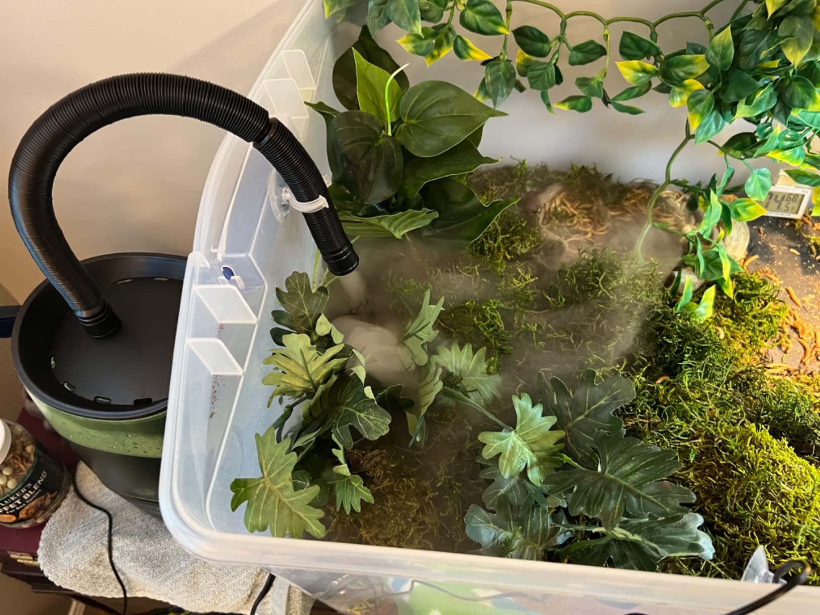 REPTI ZOO Reptile Automatic Fogger 2 IN 1 Digital Timing & Hygrostat Humidifier Remote Control 4L Large Tank Reptile Terrarium Fogger with Extended Hose for Bearded Dragon/Lizard/Gecko/Snake/Tortoise customer photo 2