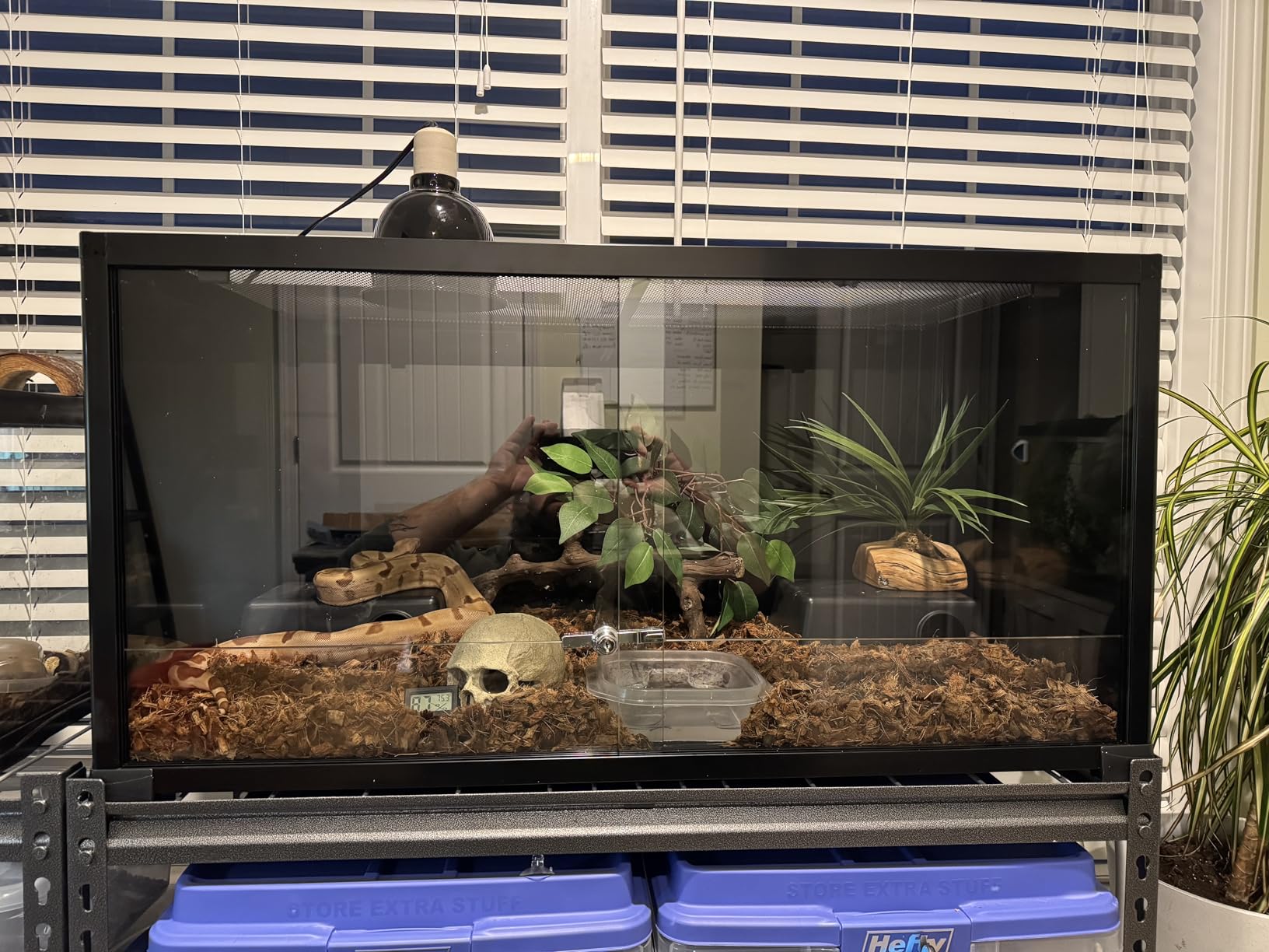 REPTIZOO Large 120 Gallon Reptile Terrarium, Reptile Tank 48