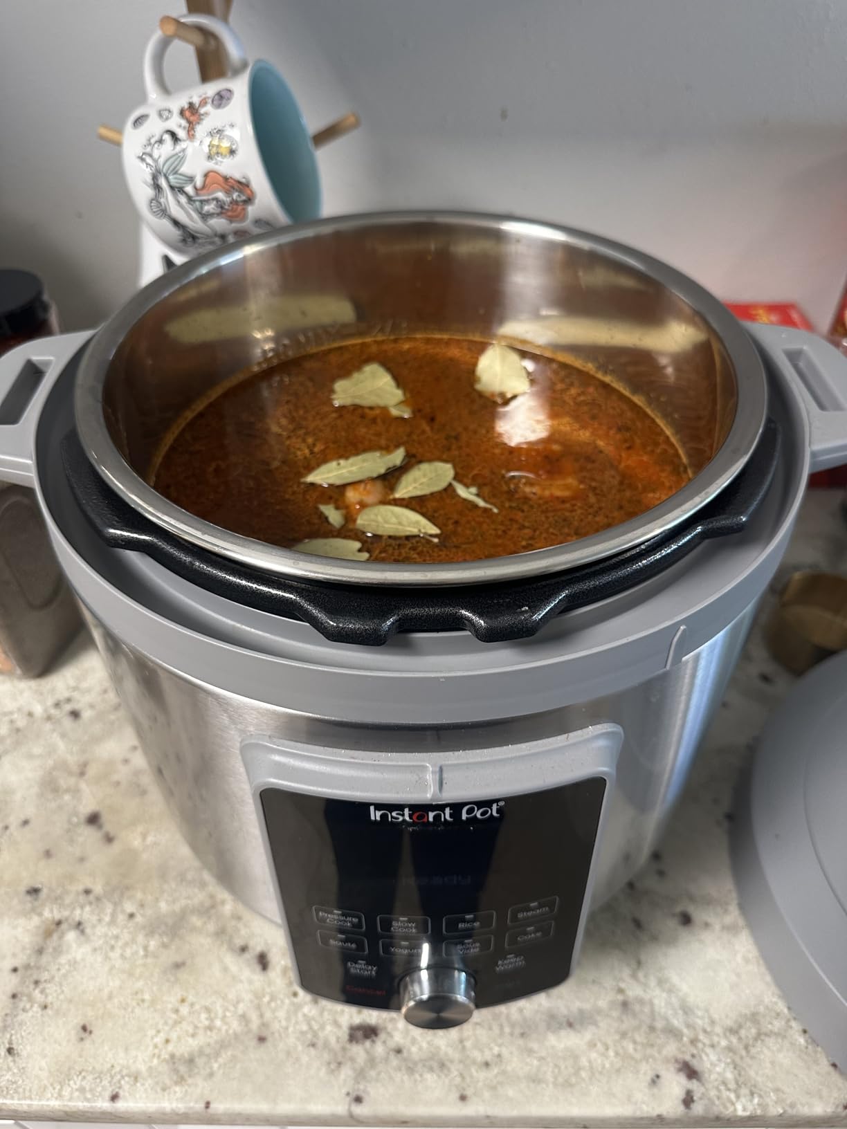 Instant Pot 6 Qt 9-in-1 Electric Pressure Cooker, WhisperQuiet customer photo 1