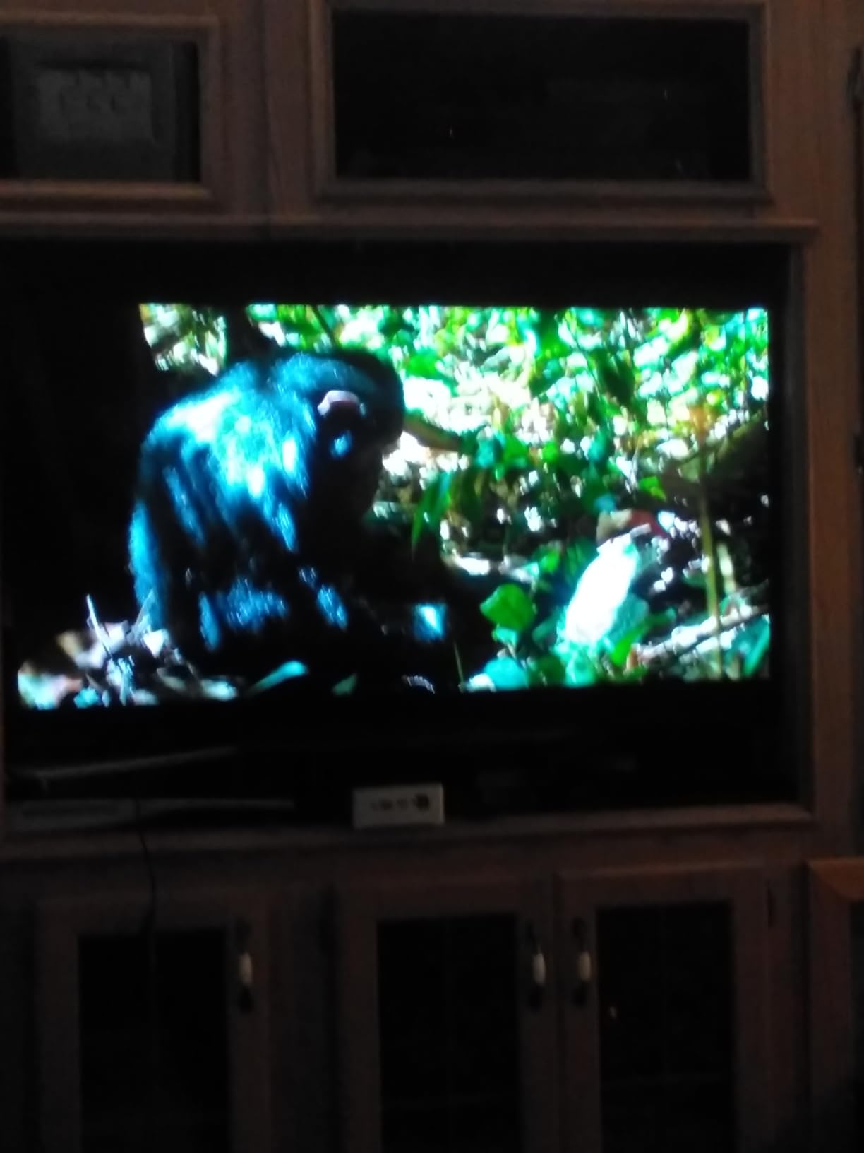 Sony A90K 48-inch customer photo 2