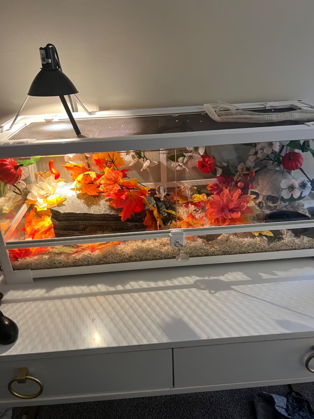 Full Glass Long Tank Reptile Terrarium 20 Gallon, Front Opening Terrarium 30