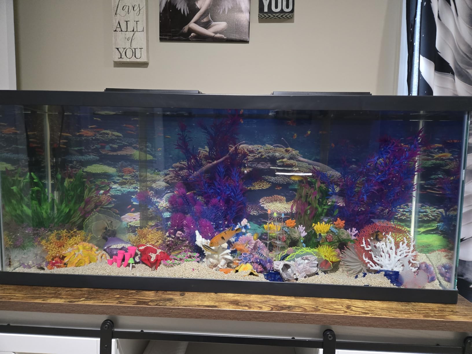 Tetra Complete 29 Gallon Fish Tank Kit for Freshwater & Saltwater Fish customer photo 2