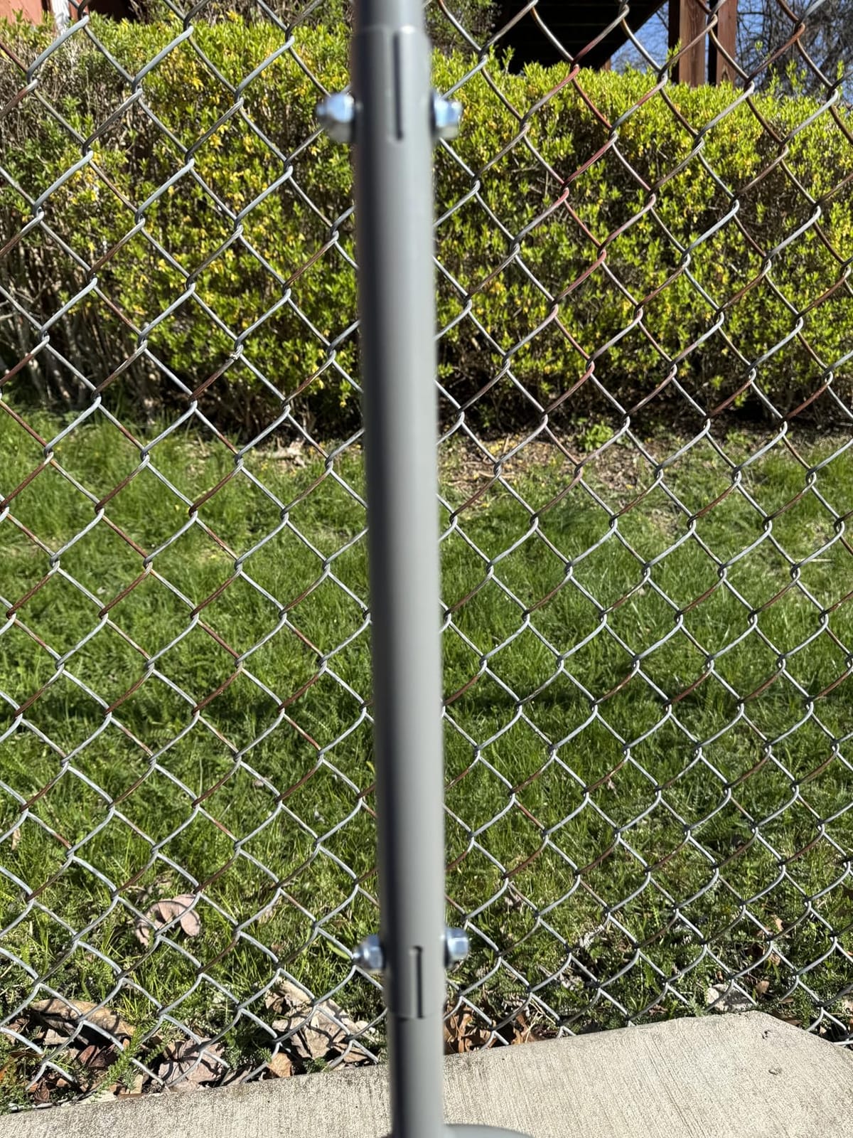 Walensee Aerator Lawn Tool, 15-Spike Manual Lawn Aerator Tool for Yard customer photo 2