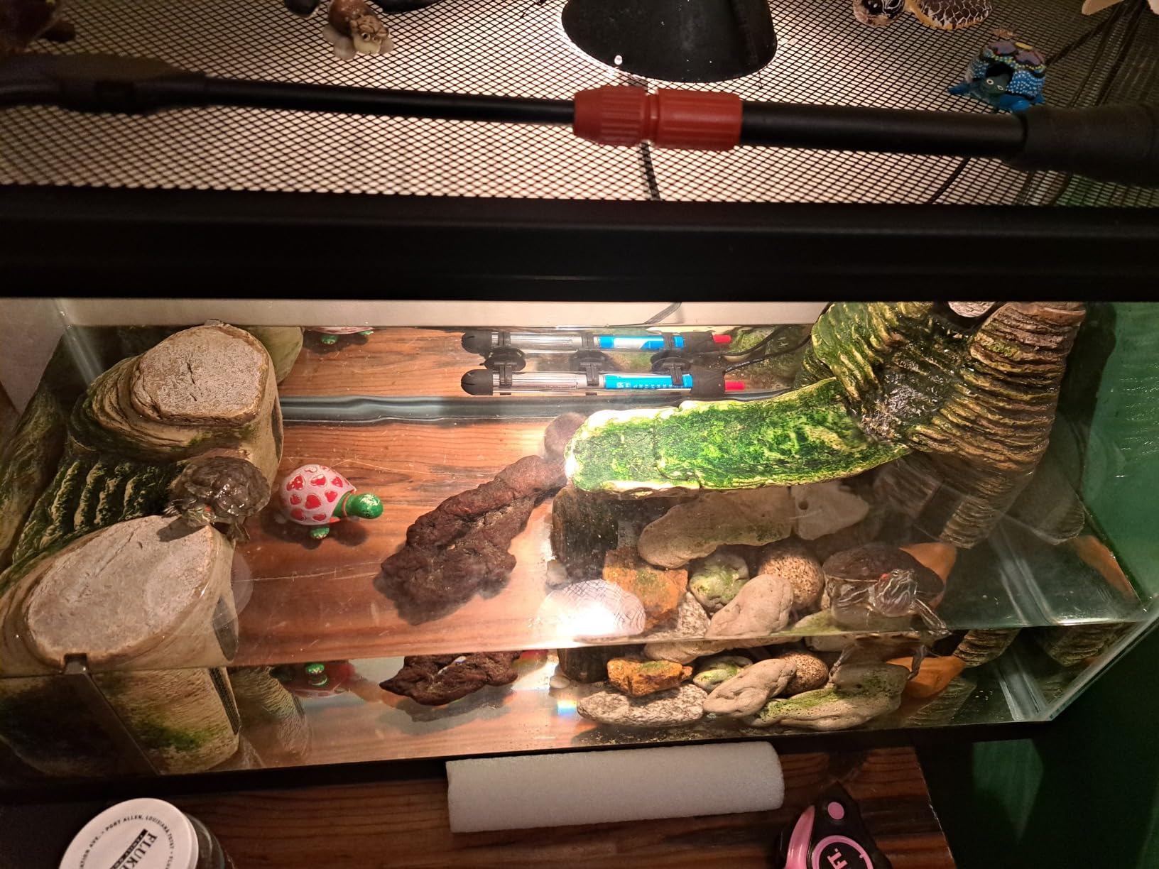 Briignite G9 Heat Lamp Bulbs for Reptile Mini Reptile Light Warm 50W 2 Pack customer photo 2