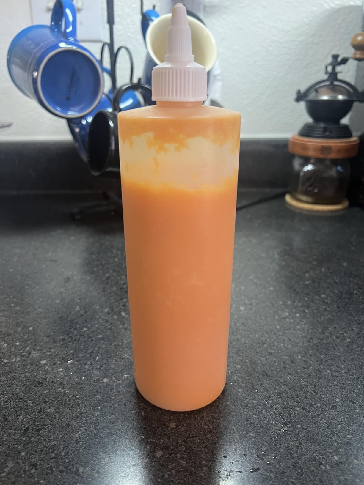 Vitamix Propel 750 customer photo 2