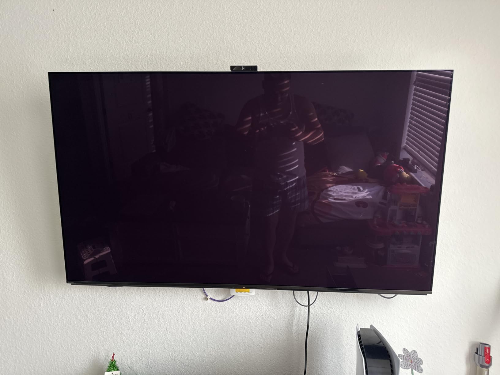 Sony A95L 77-inch customer photo 2