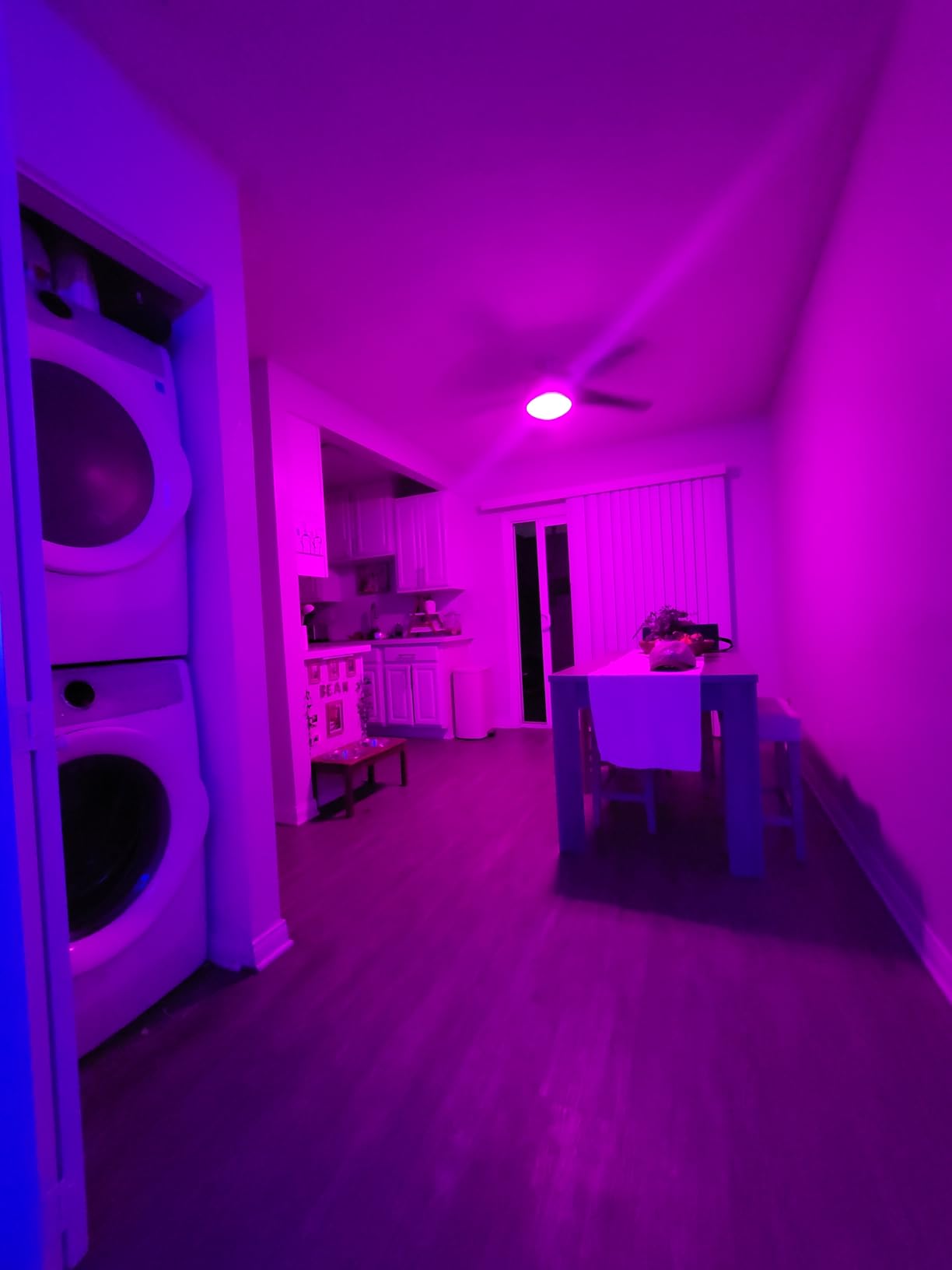 Govee 1000LM 2-Pack customer photo 1
