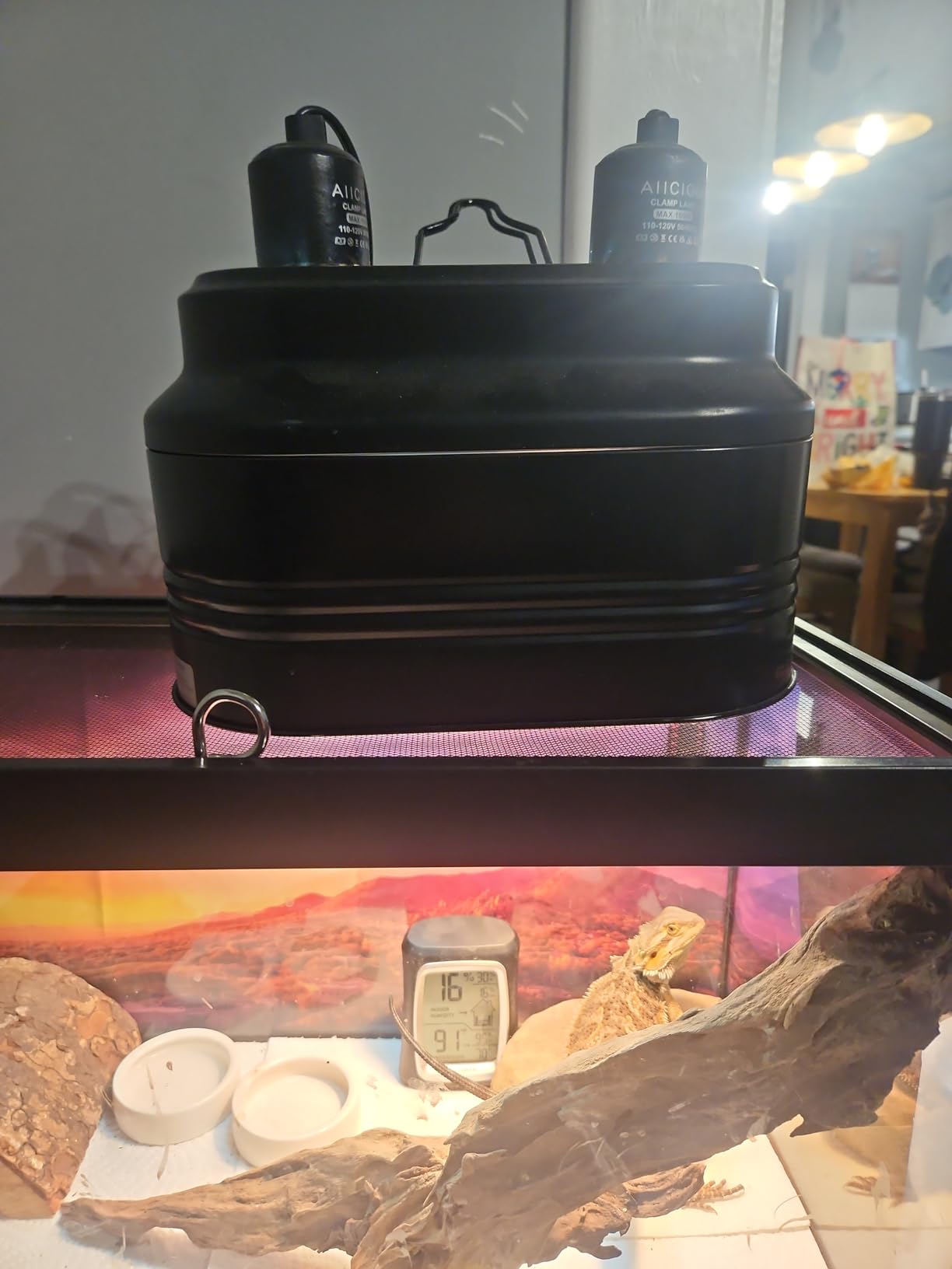 Aiicioo Dual Reptile Light Fixture - Bearded Dragon Light Fixture Double Reptile Heat Lamp Dome Max 160 Watt Terrarium UVB Reptile Light for Turtle Tank Vivarium Hermit Crab customer photo 2