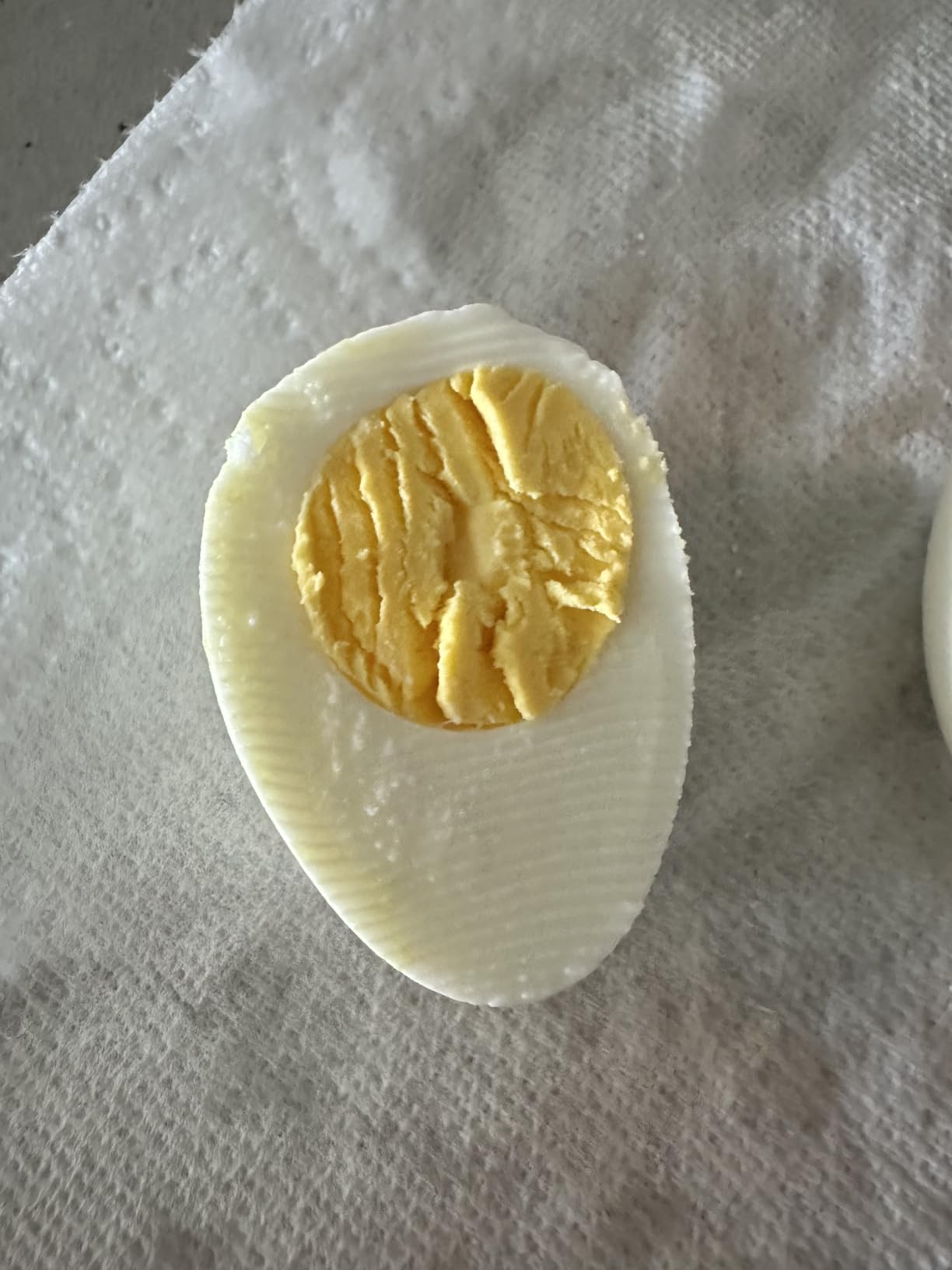 Elite Gourmet Egg Cooker customer photo 2