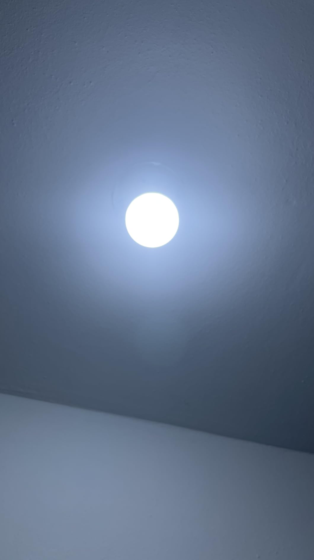 Sengled Matter A19 customer photo 1