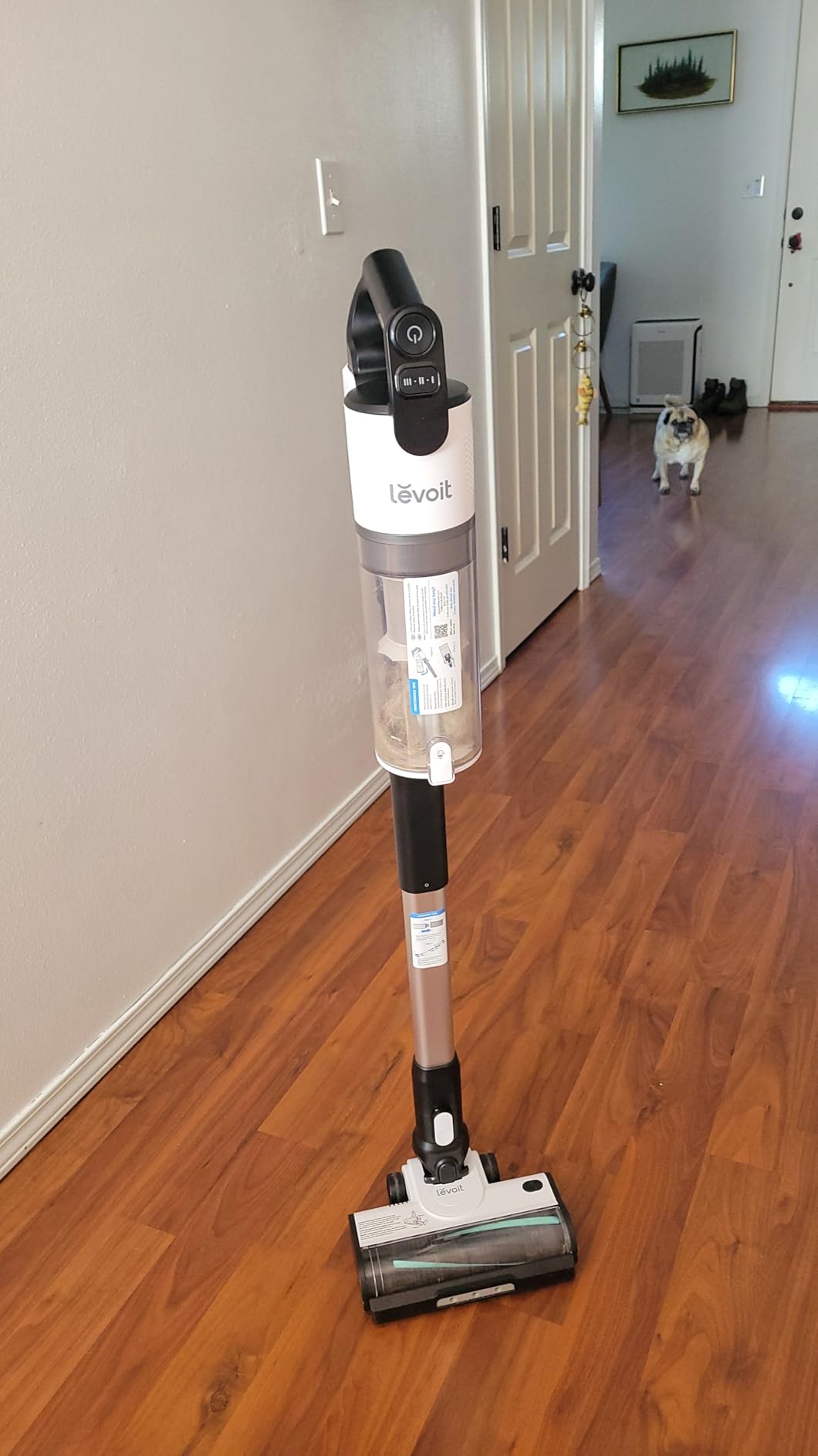 Levoit Anti-Tangle Cordless customer photo 1