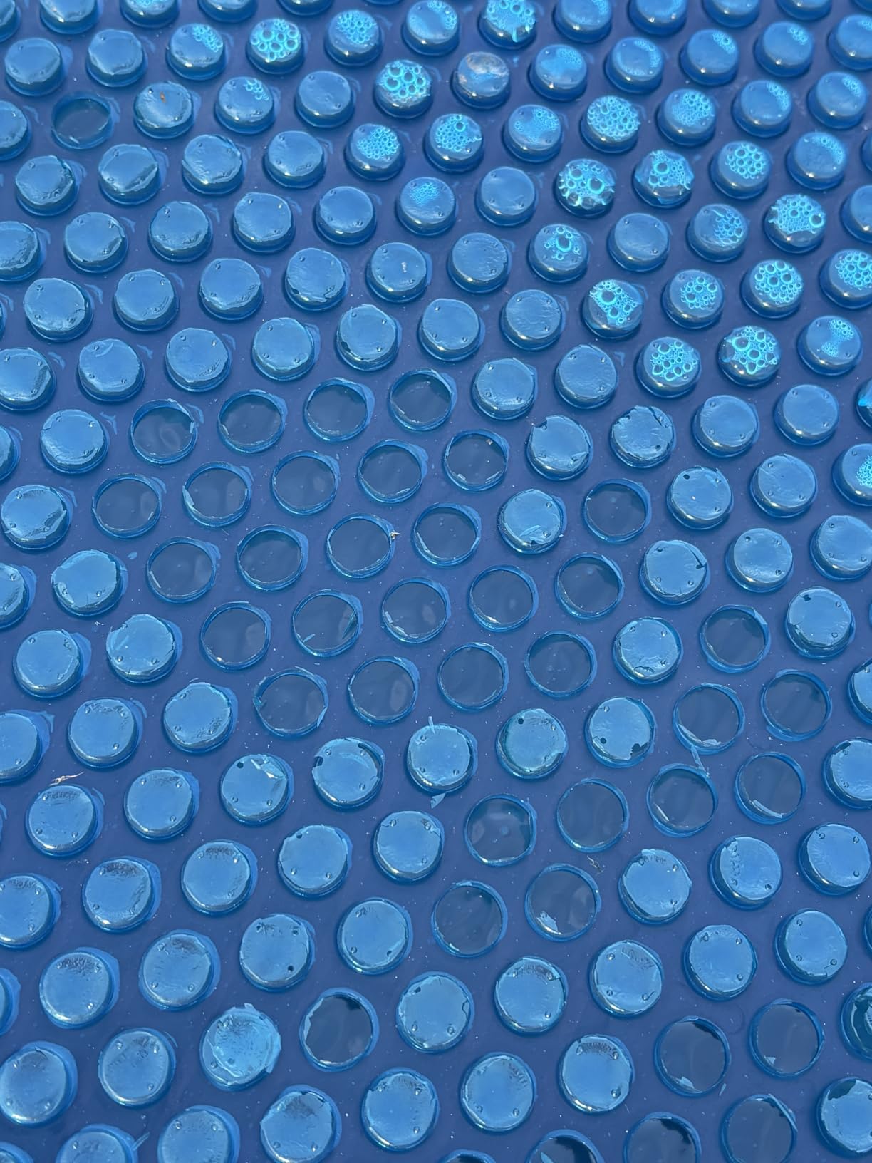In The Swim 12' x 24' Premium Blue Rectangle Solar Pool Cover 12 Mil customer photo 2