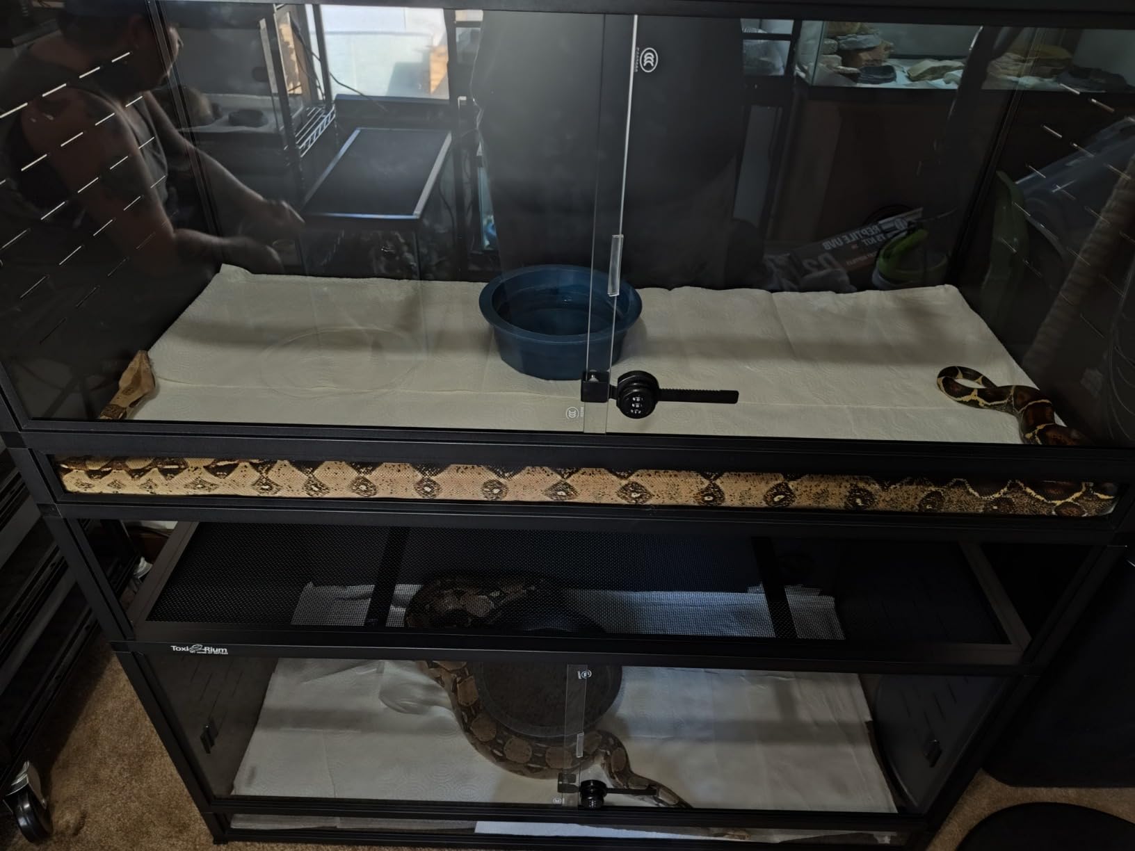 PVC Reptile Enclosure Space Efficient 44''x20''x20'' Stackable ToxiRium Large Reptile Terrarium 76 Gallons for Bearded Dragon Lizard Snake, Breeding Vivarium with Sliding Doors Lock-2pcs with spacers customer photo 2