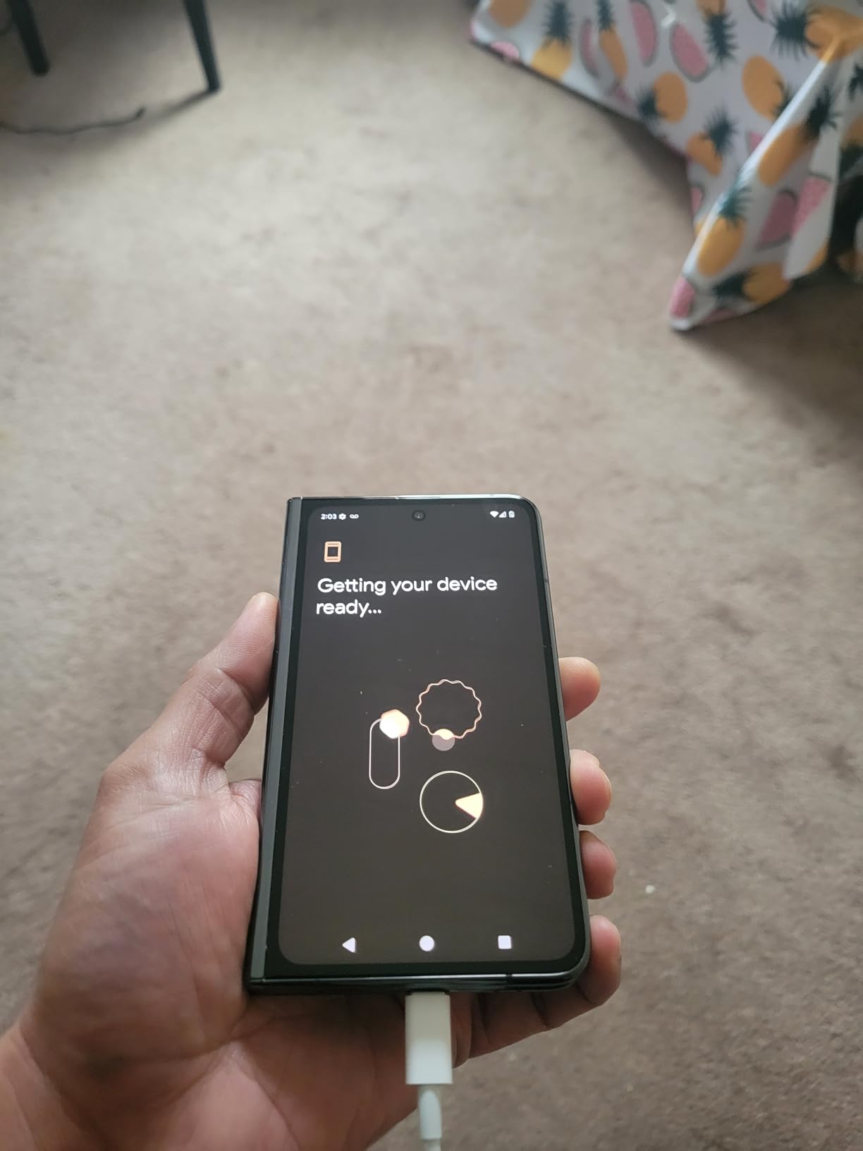 Pixel Fold customer photo 2