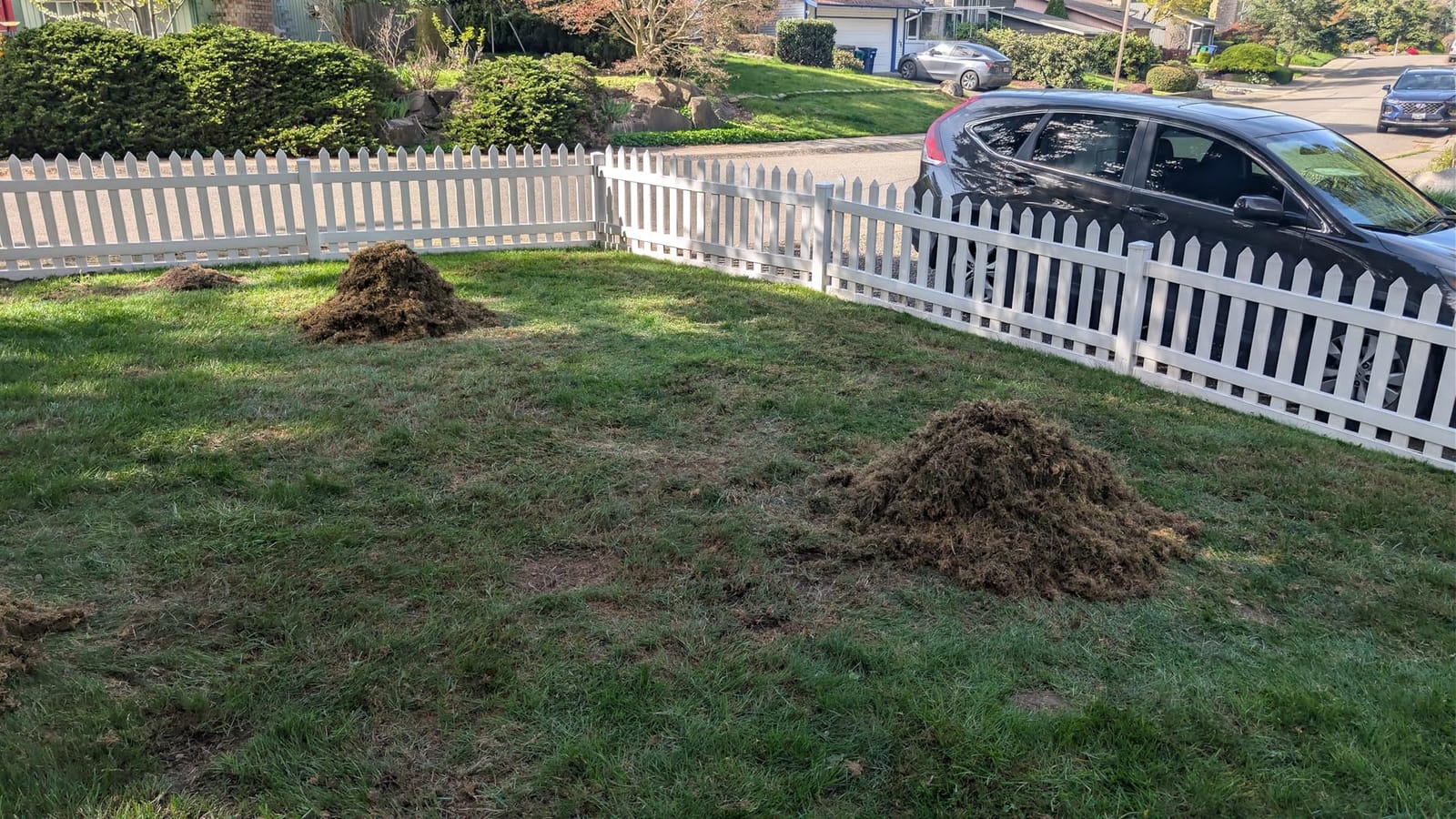 BARAYSTUS Thatch Rake, 15‑Inch Wide Dual‑Side Dethatching Rake for Lawn customer photo 2
