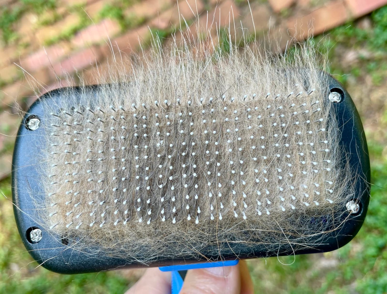 Swihauk Slicker Brush customer photo 2