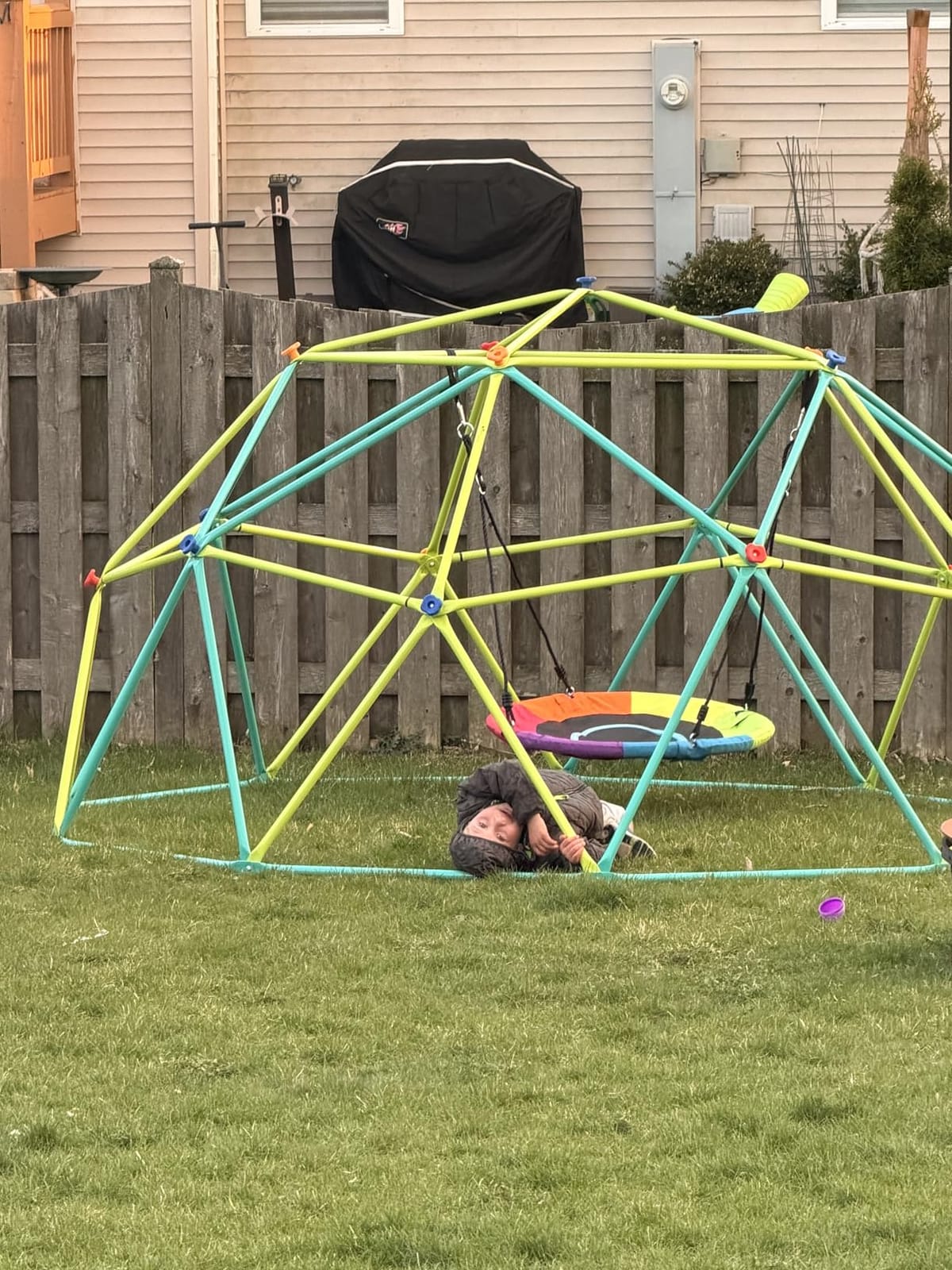 Hapfan 10 ft Climbing Dome Swing Set with Saucer Swing for Kids 3-12 customer photo 2