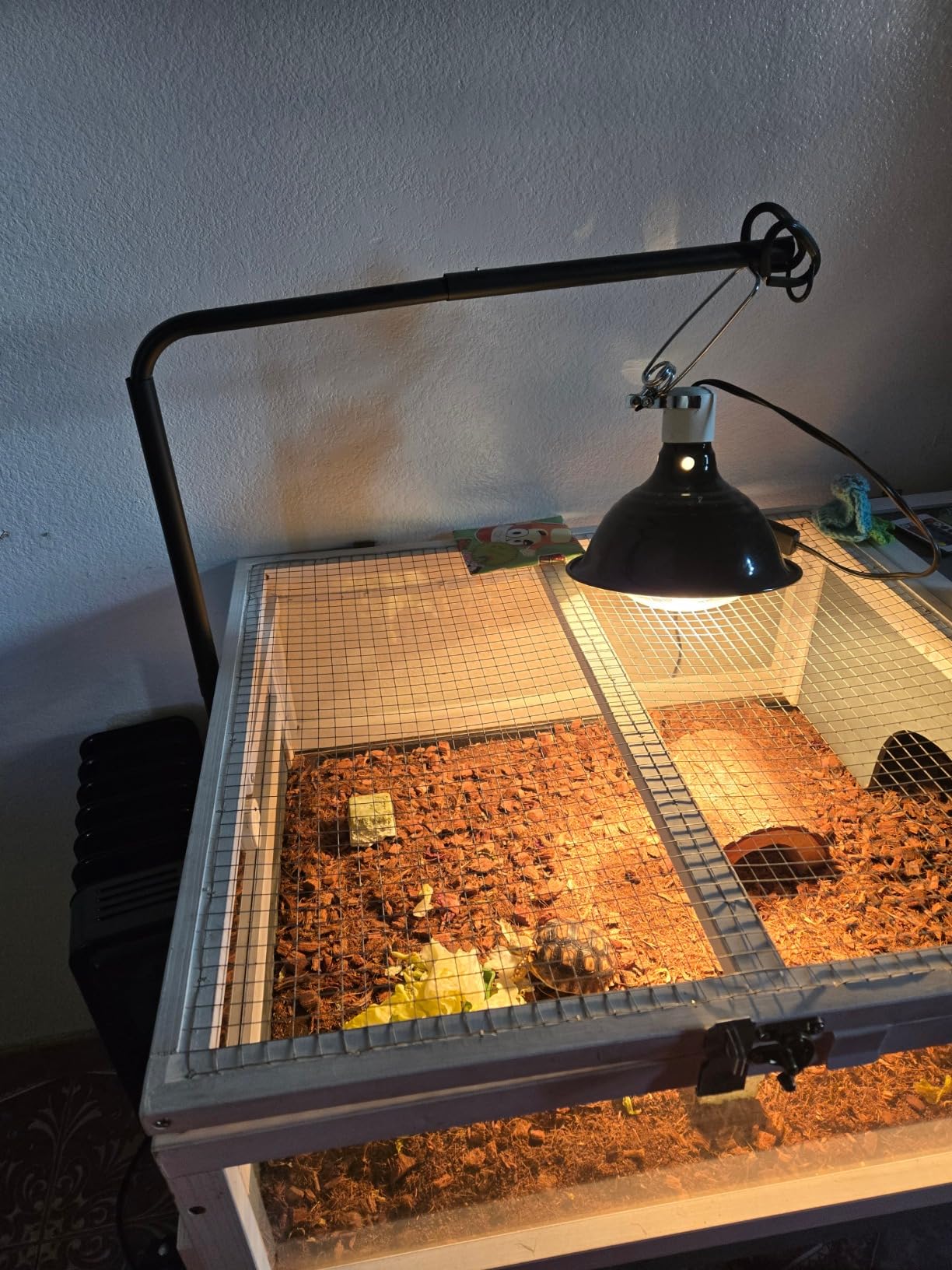 Tortoise Enclosure Turtle Cage Indoor Reptile for Small Animals Lizards customer photo 2