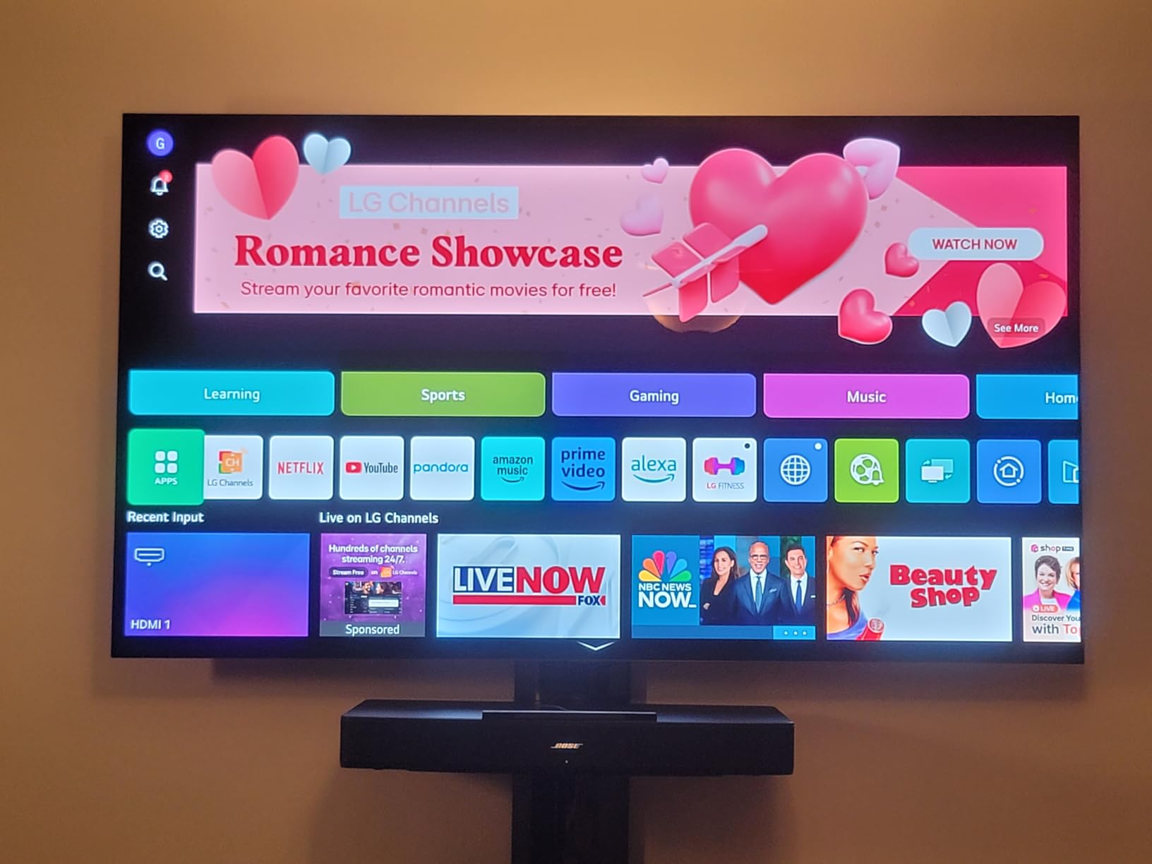 LG C4 48-inch customer photo 2