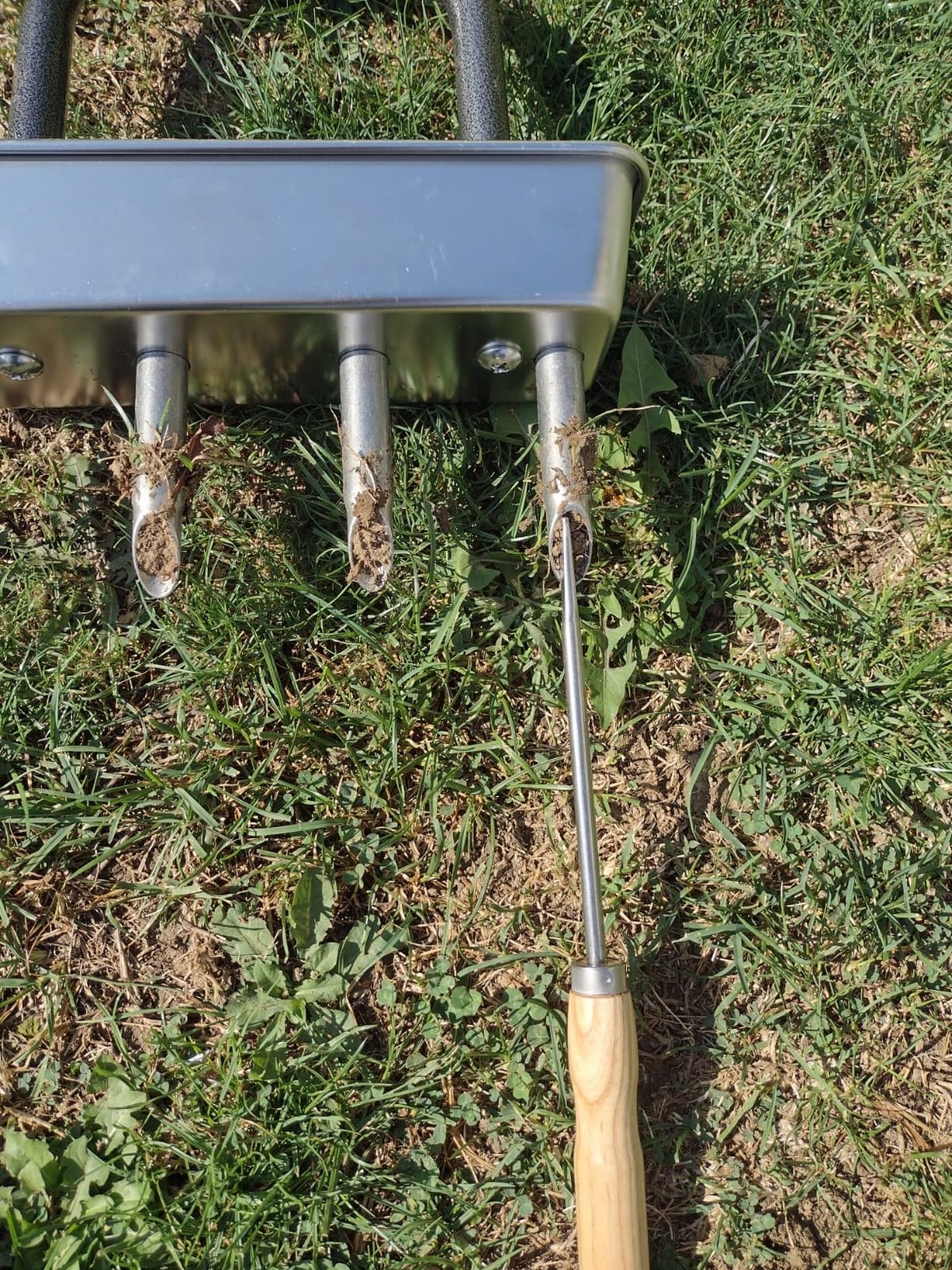 Dolibest Lawn Coring Aerator, Manual Lawn Aerator,4 Stainless Steel Corer Plug Aerator with Soil Core Storage Tray, Pre-Assembled Manual Grass Aerating Tool & Clean Hand Tool, Improving Lawn Health customer photo 2