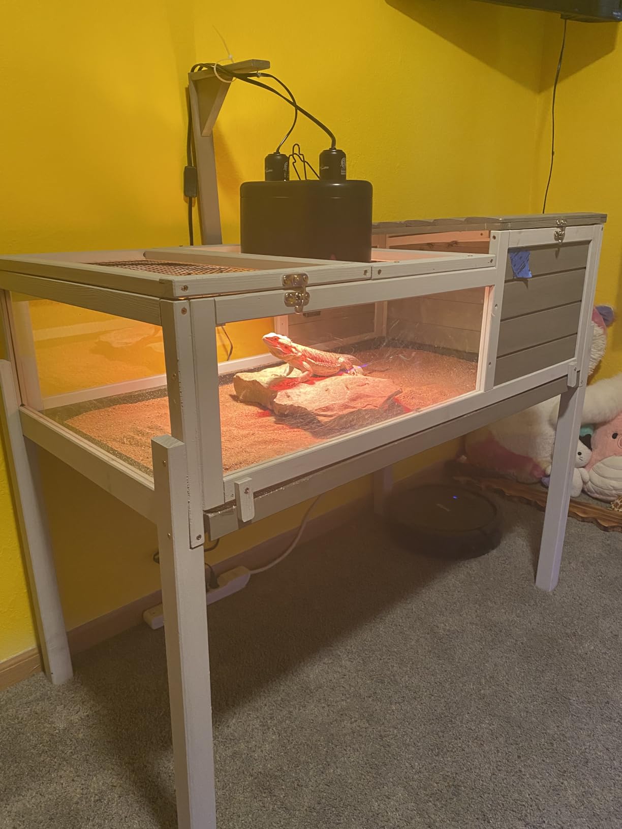 PetsCosset Tortoise Habitat with Detachable Legs, Wooden Indoor & Outdoor Turtle Enclosure, Two-Room Reptile House, Large Observation Windows, Removable Pull-Out Tray, for Tortoises customer photo 1