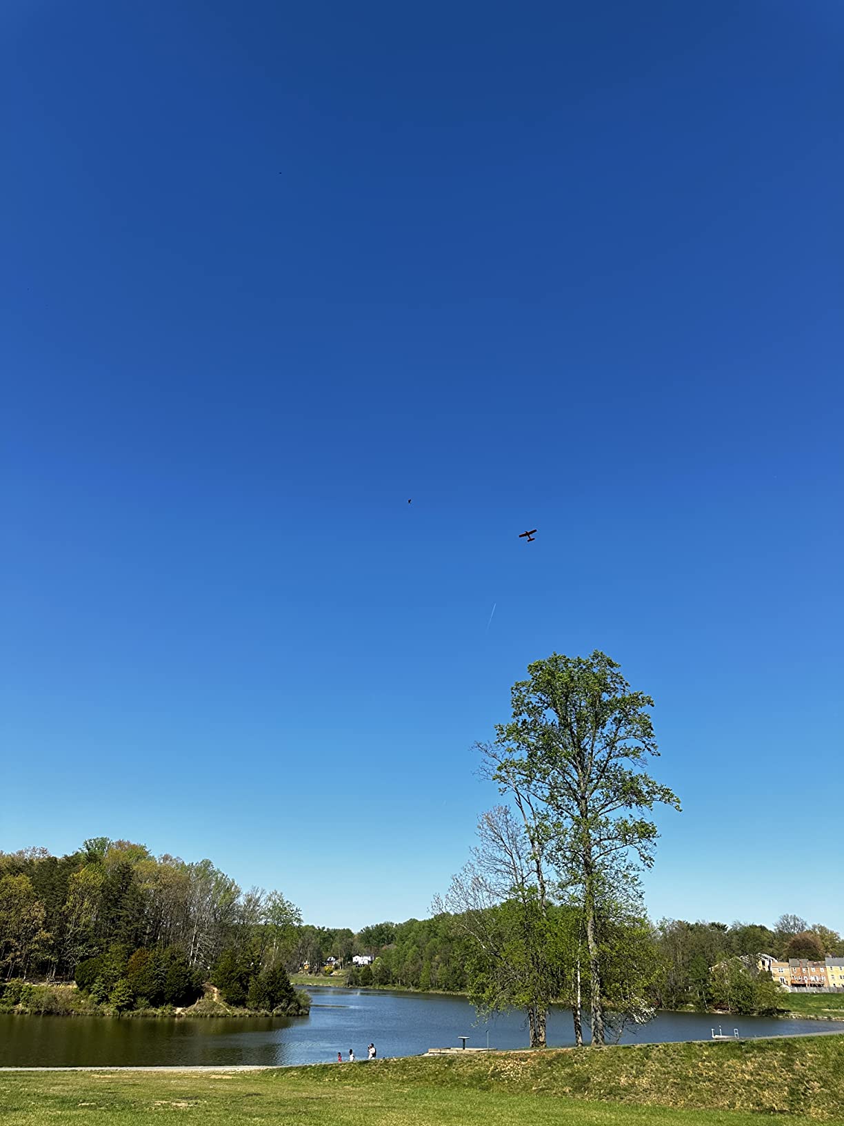 4CH Cessna RC Plane, Brushless Trainer Aircraft for Beginners customer photo 1