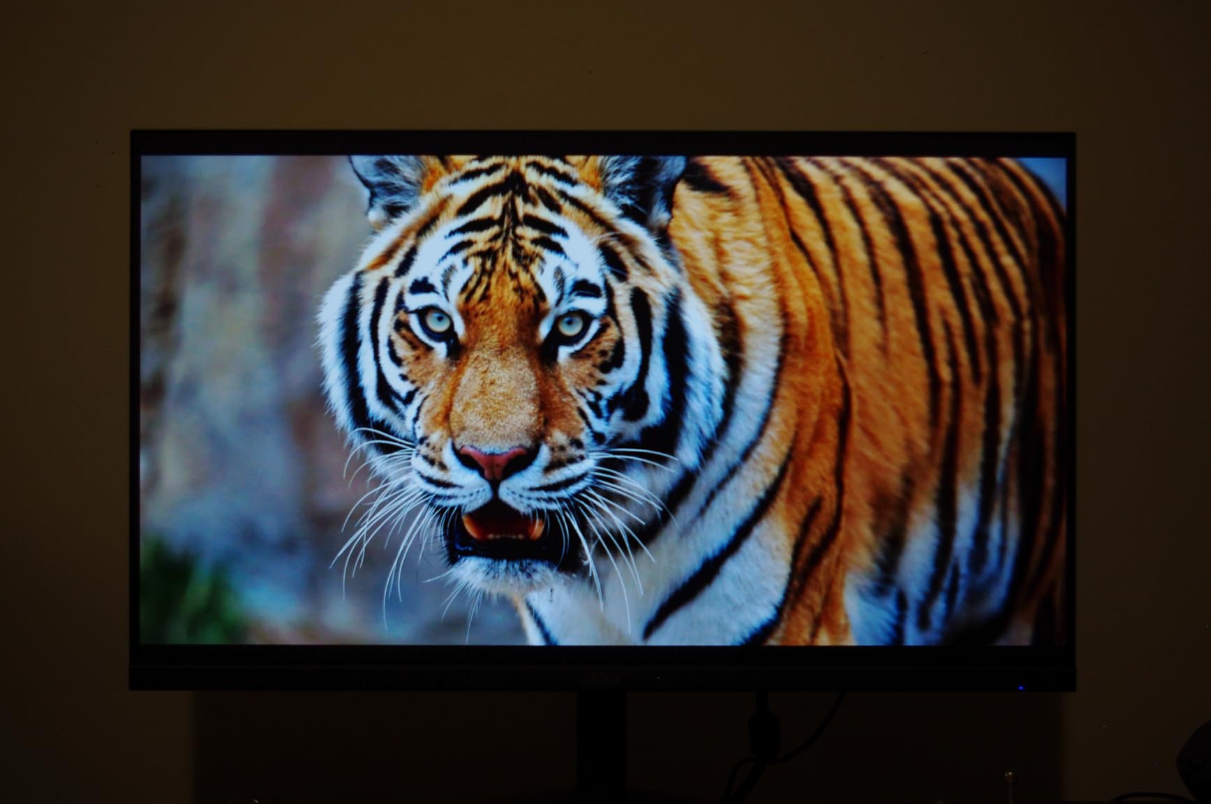 Acer 27in FHD 1920x1080 IPS 120Hz Office Monitor SB273 G0bi customer photo 2