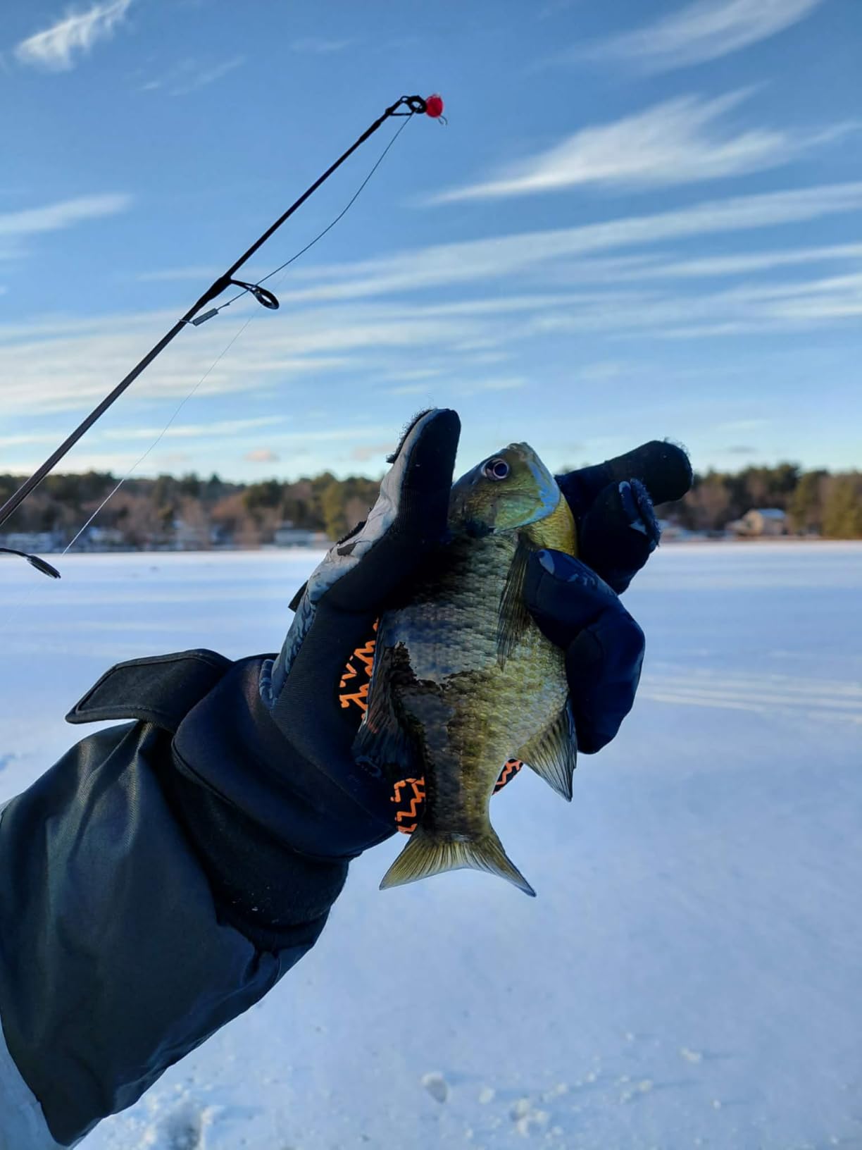 Gonex Ice Fishing Rod Reel Combo Medium Light Spinning Rod Complete Kit customer photo 2