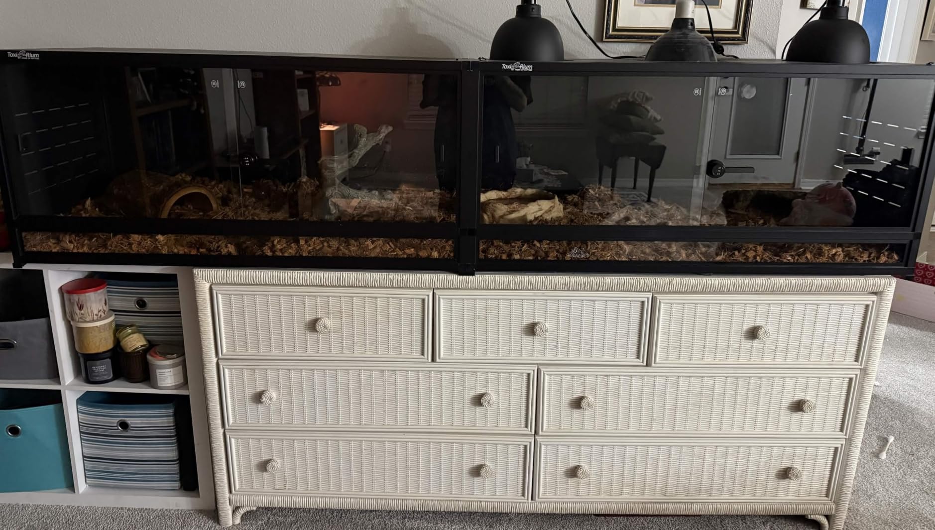 8FT PVC Reptile Enclosure 8x2x2FT, 240 Gallon Modular Expandable Terrarium with Tempered Glass Front Opening Sliding Doors, Lockable Habitat for Bearded Dragon Gecko Lizard Snake, Black customer photo 1