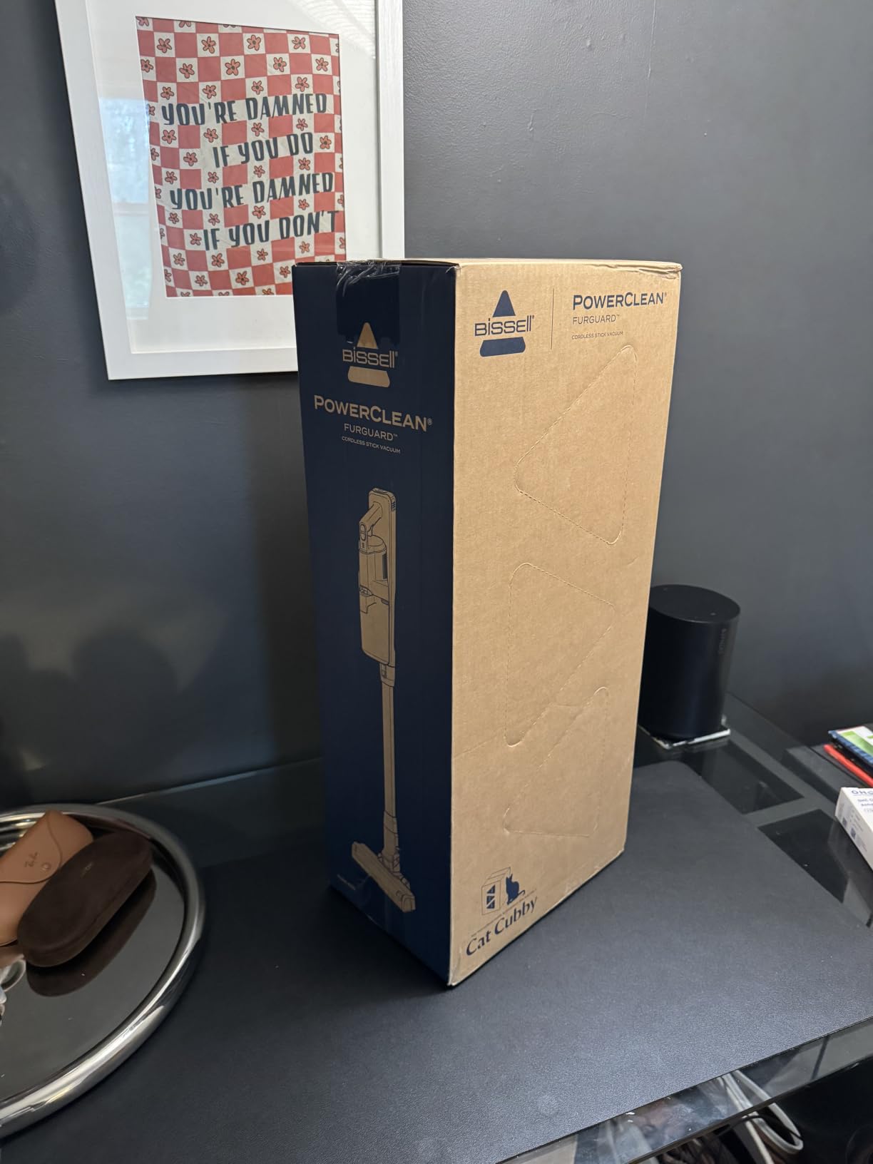 Bissell PowerClean FurGuard customer photo 2