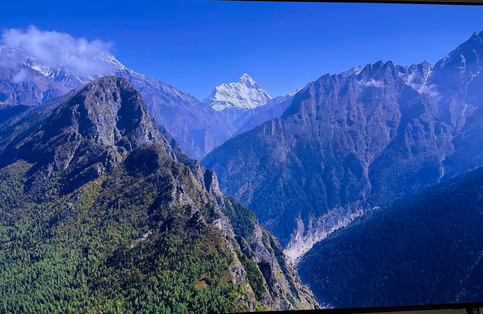 Samsung S90F OLED customer photo 1