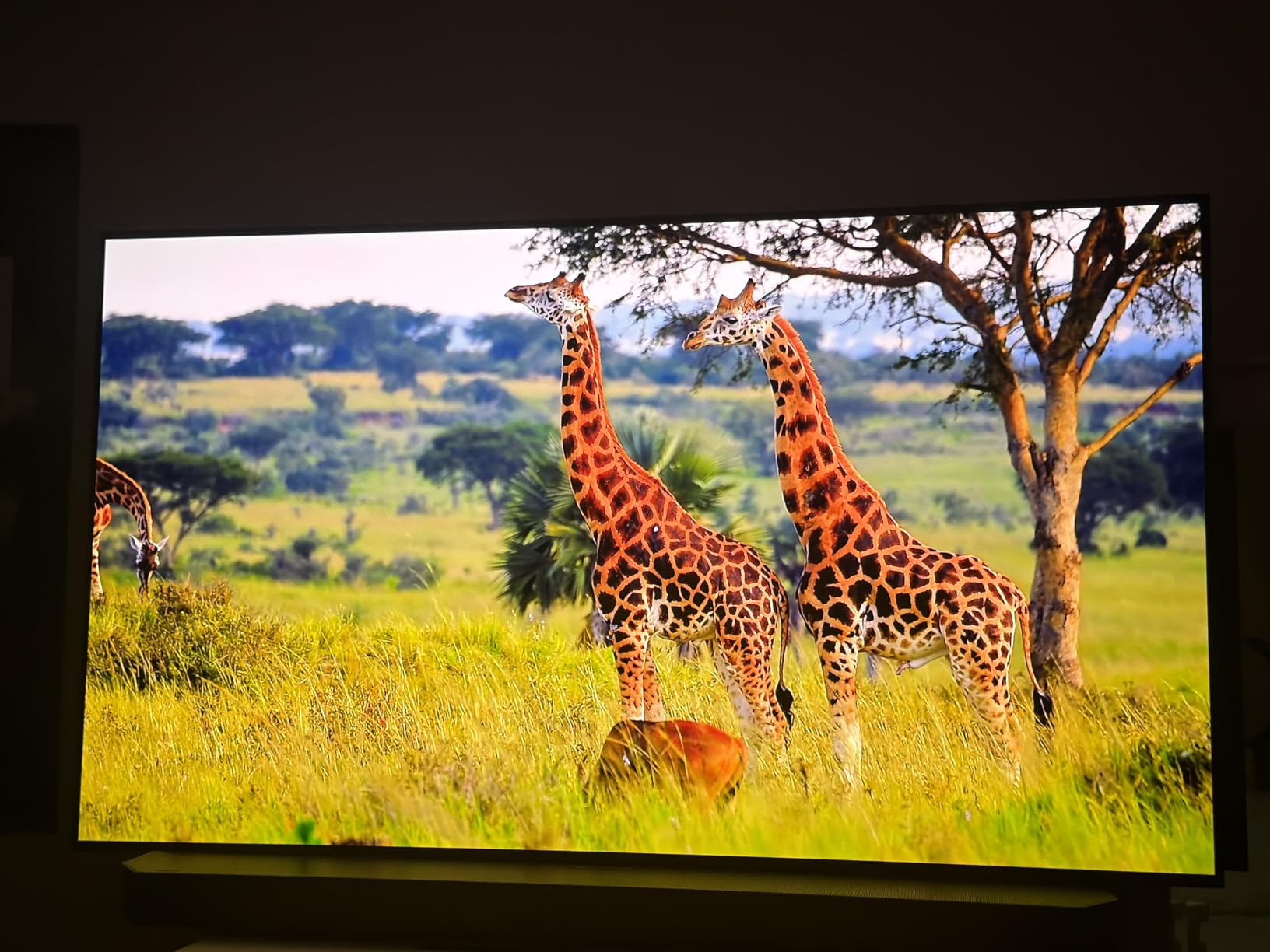 Samsung S90F OLED customer photo 2
