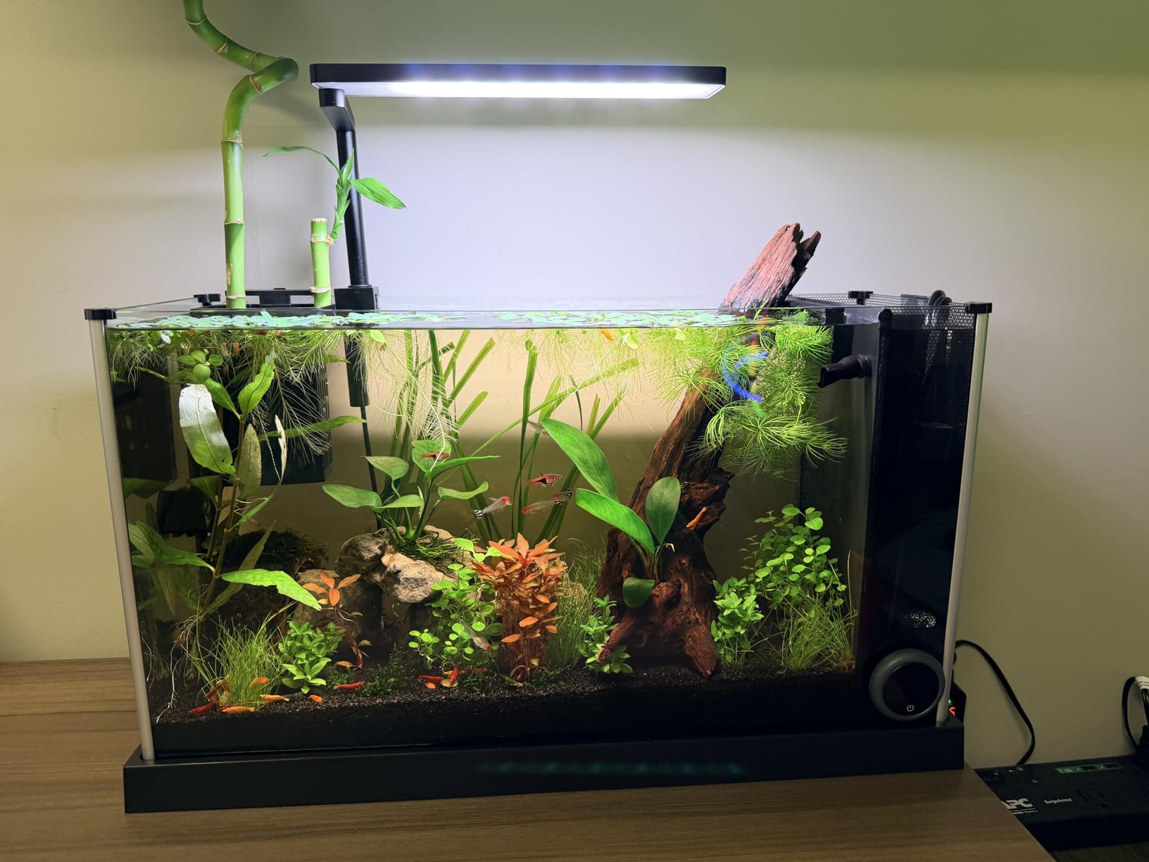 FZONE Solo Series Nano Aquarium Light for Freshwater and Planted Tanks customer photo 2