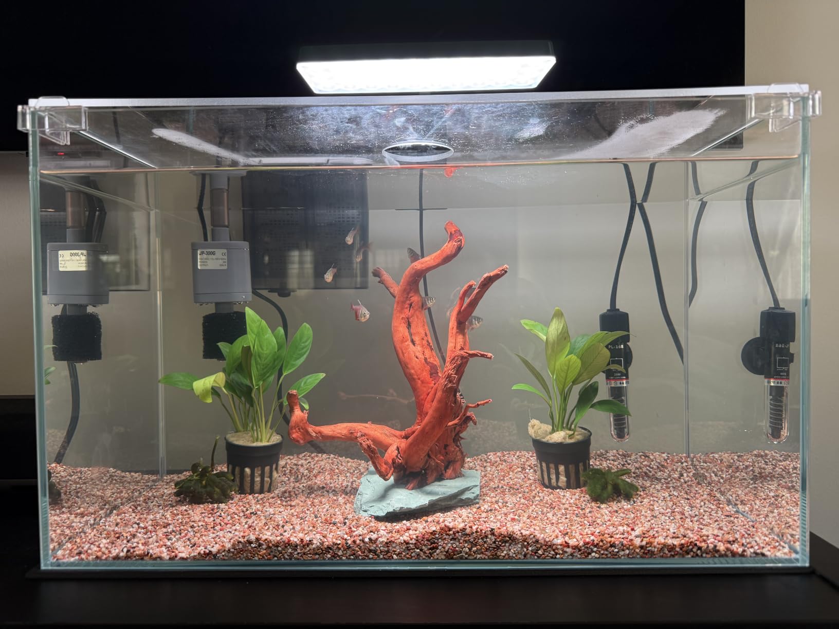 Vimvins 5 Gallon Glass Small Fish Tank with Filter Light and Lid, Betta Aquarium Starter Kits customer photo 2