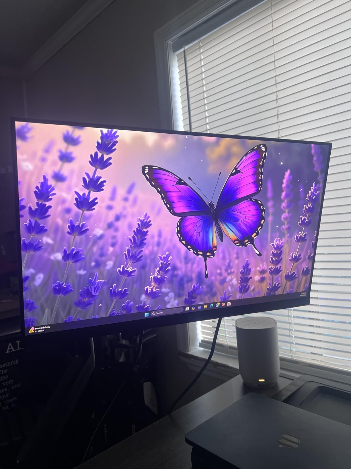 HP Series 3 27 inch FHD Monitor, Full HD Display (1920 x 1080), IPS Panel, 1300:1 Contrast Ratio, 250 Nits, Eye Ease with Eyesafe Certification, Black, 327se (2025) customer photo 2