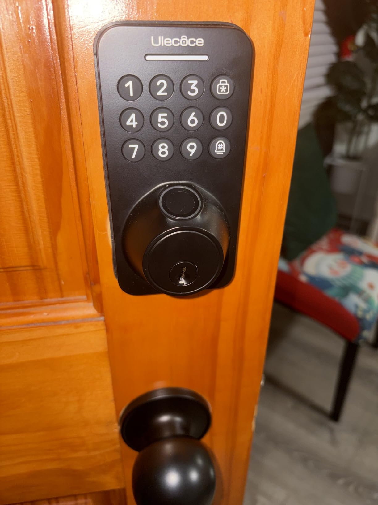 TEEHO TE012W Smart Lock customer photo 1