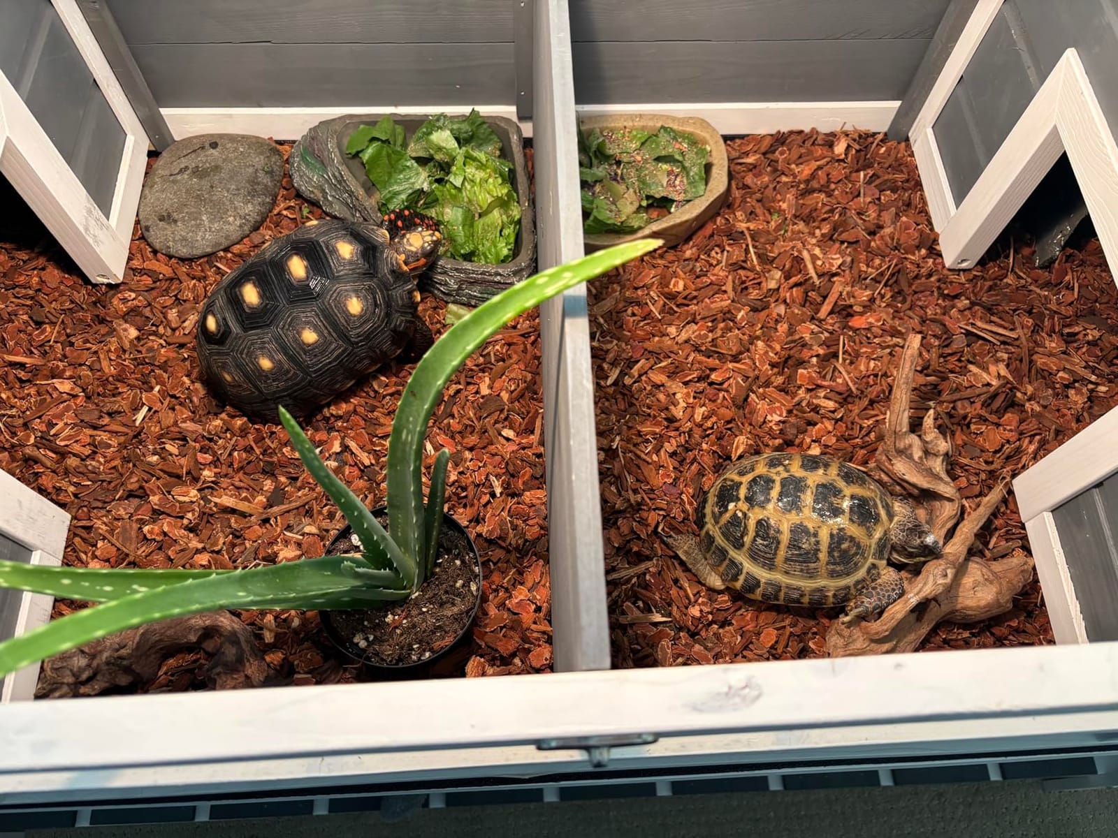PawHut Tortoise Habitat with Adjustable Lamp Holder, Attached Tray Yellow customer photo 1