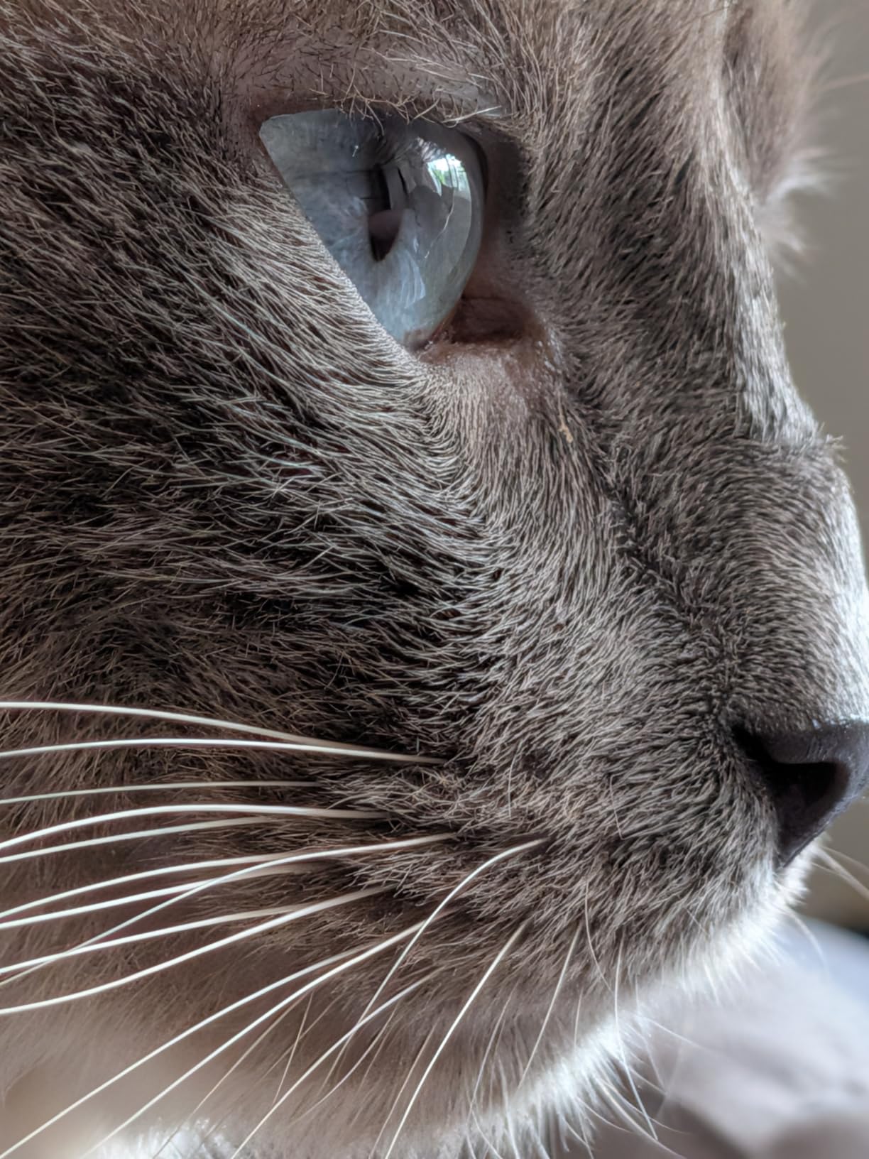 Google Pixel 10 customer photo 2