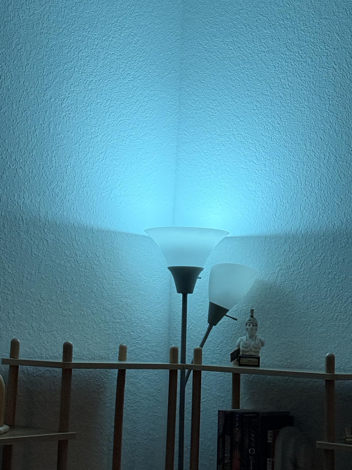 PHILIPS Hue Essential Smart LED BR30 Bulb 2-Pack, White and Color Ambiance, E26, 7.2W, 2200K-6500K, 650 Lumens, Dimmable LED Bulbs, Works with Alexa, Google Assistant, Apple Home customer photo 2