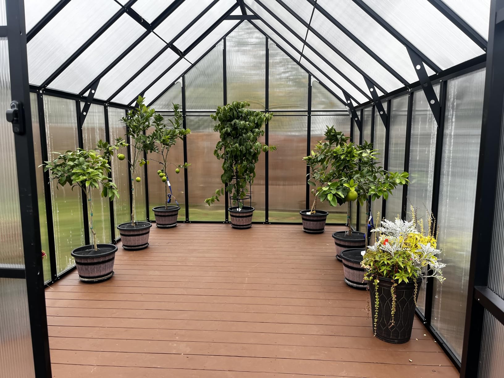 CDCASA 12x10x10 FT Polycarbonate Greenhouse for Outdoors w/2 Windows customer photo 1