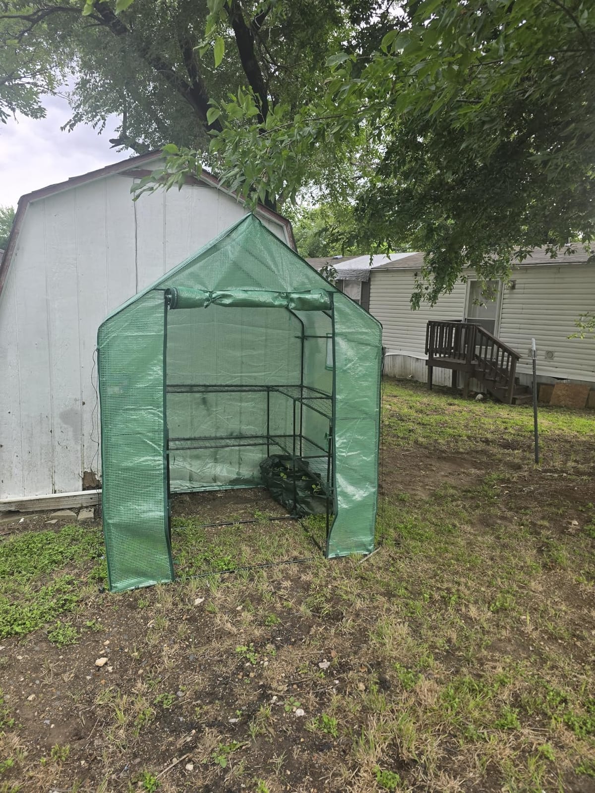 SUNGIFT Walk-in Greenhouse Kit, Upgraded PVC Clear, 57x61x80 Inch customer photo 1